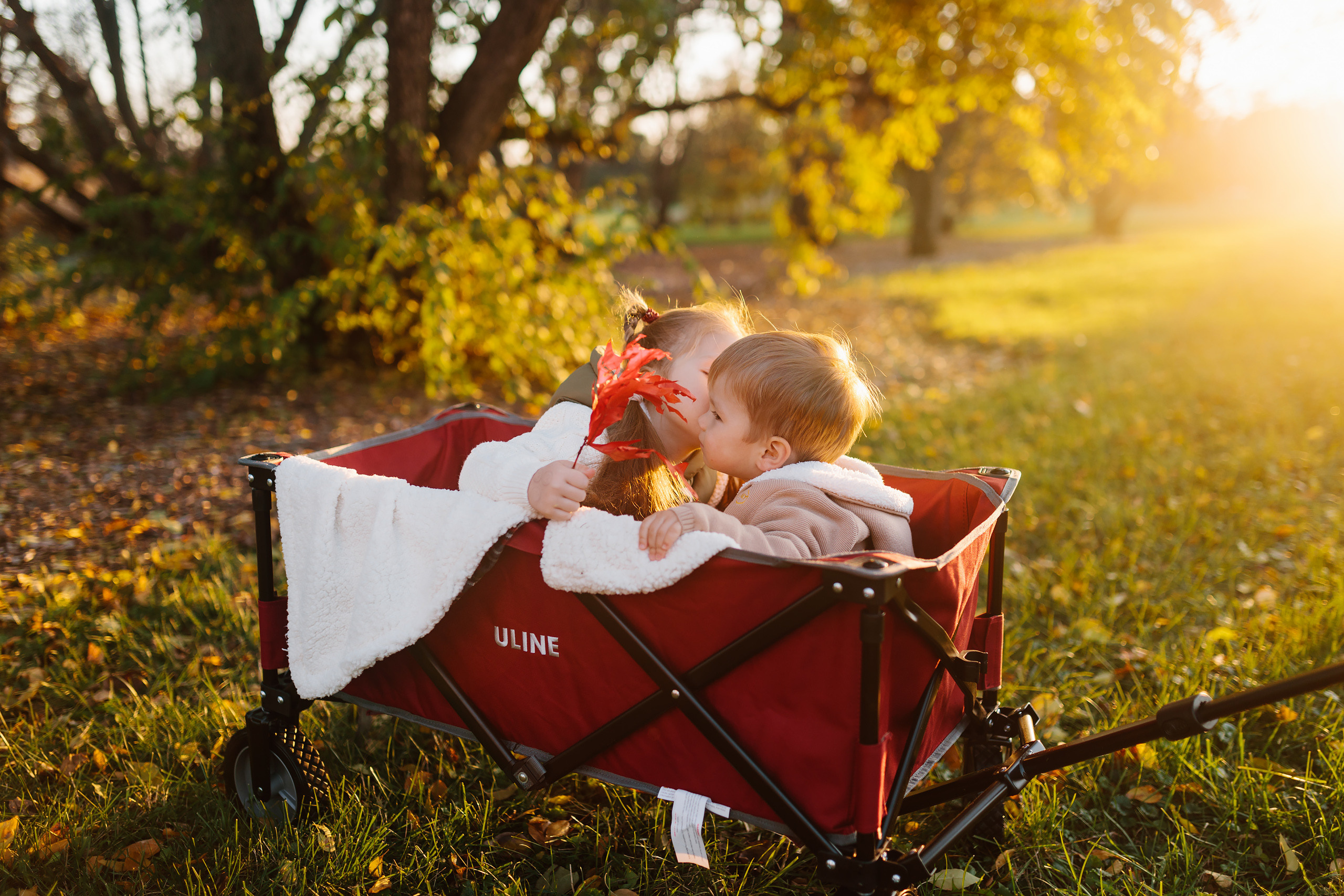 11.05.2021 Family photoshoot. Wedding family event photographer in Chicago Nick Yushevich