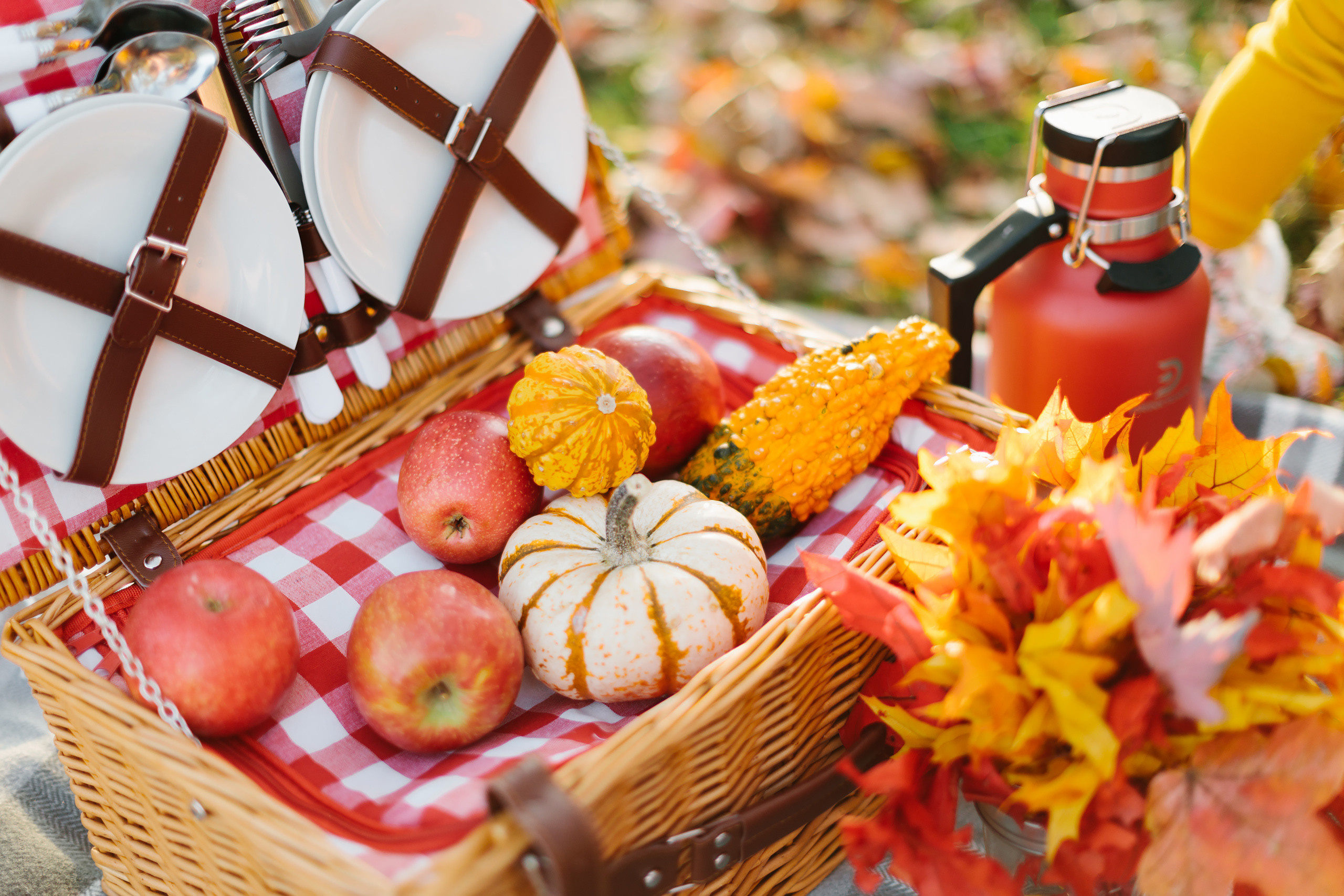 11.05.2021 Family photoshoot. Wedding family event photographer in Chicago Nick Yushevich