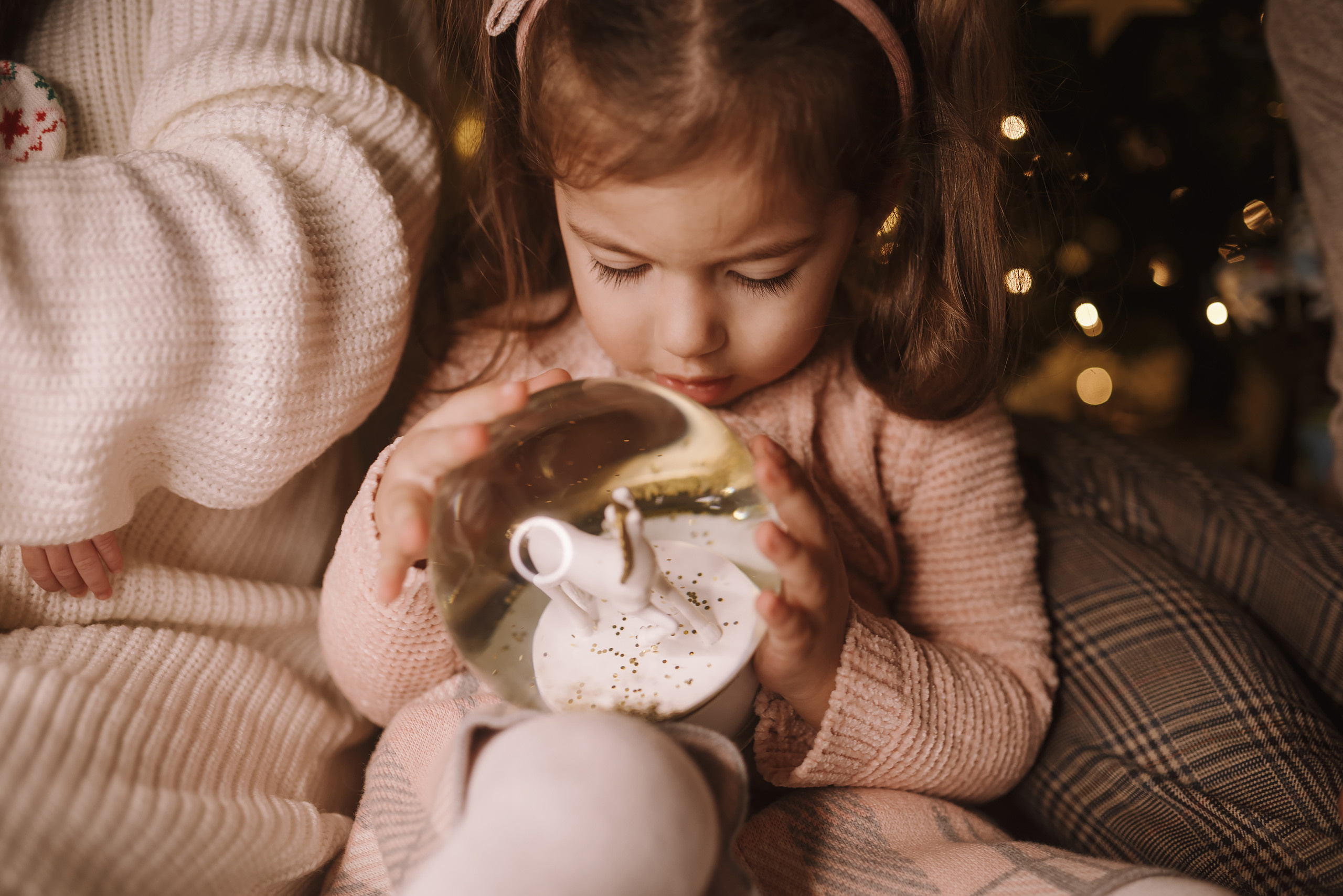 12042021 Christmas Photoshoot 9. Wedding family event photographer in Chicago Nick Yushevich