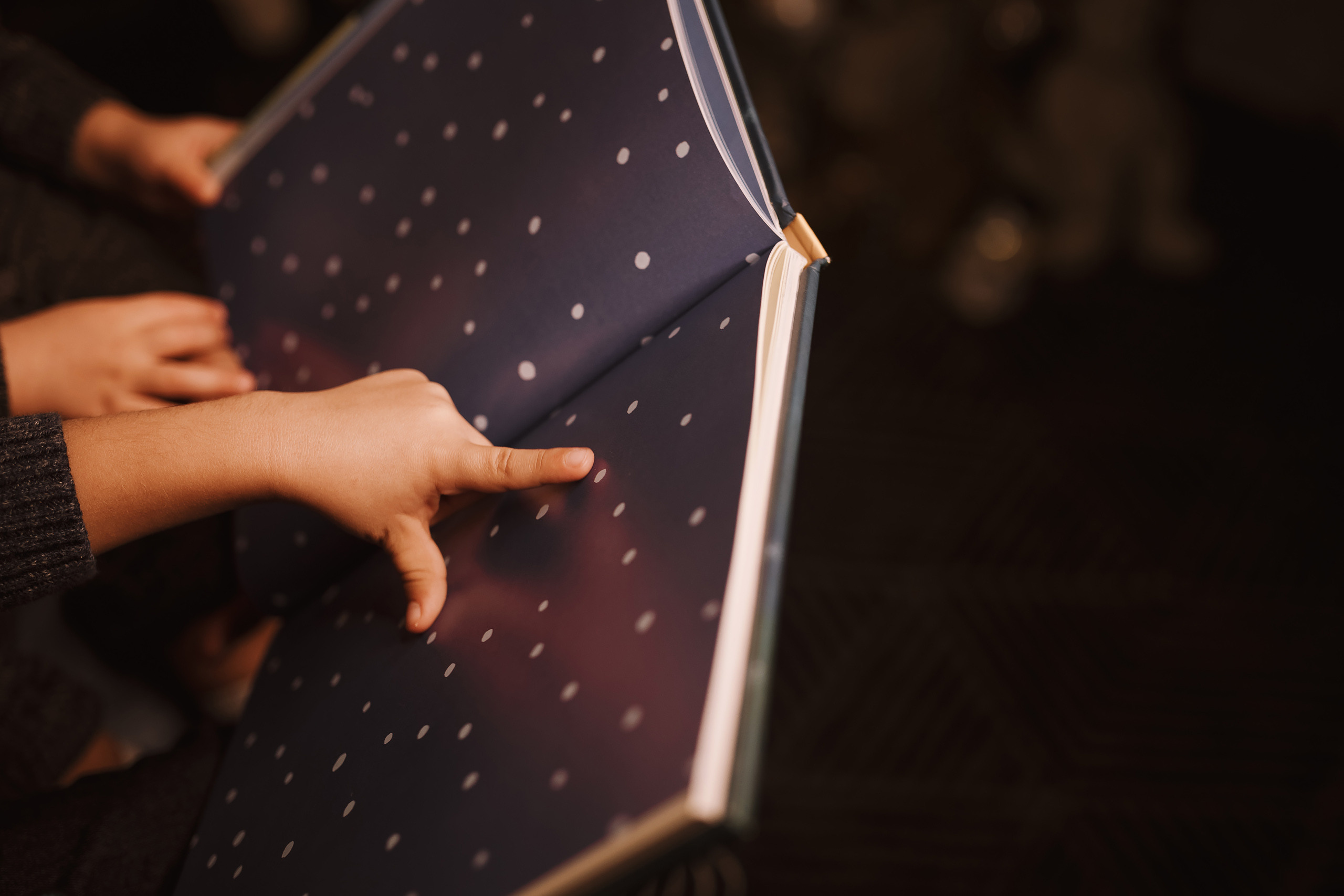 11212021 Christmas Photoshoot 4. Wedding family event photographer in Chicago Nick Yushevich