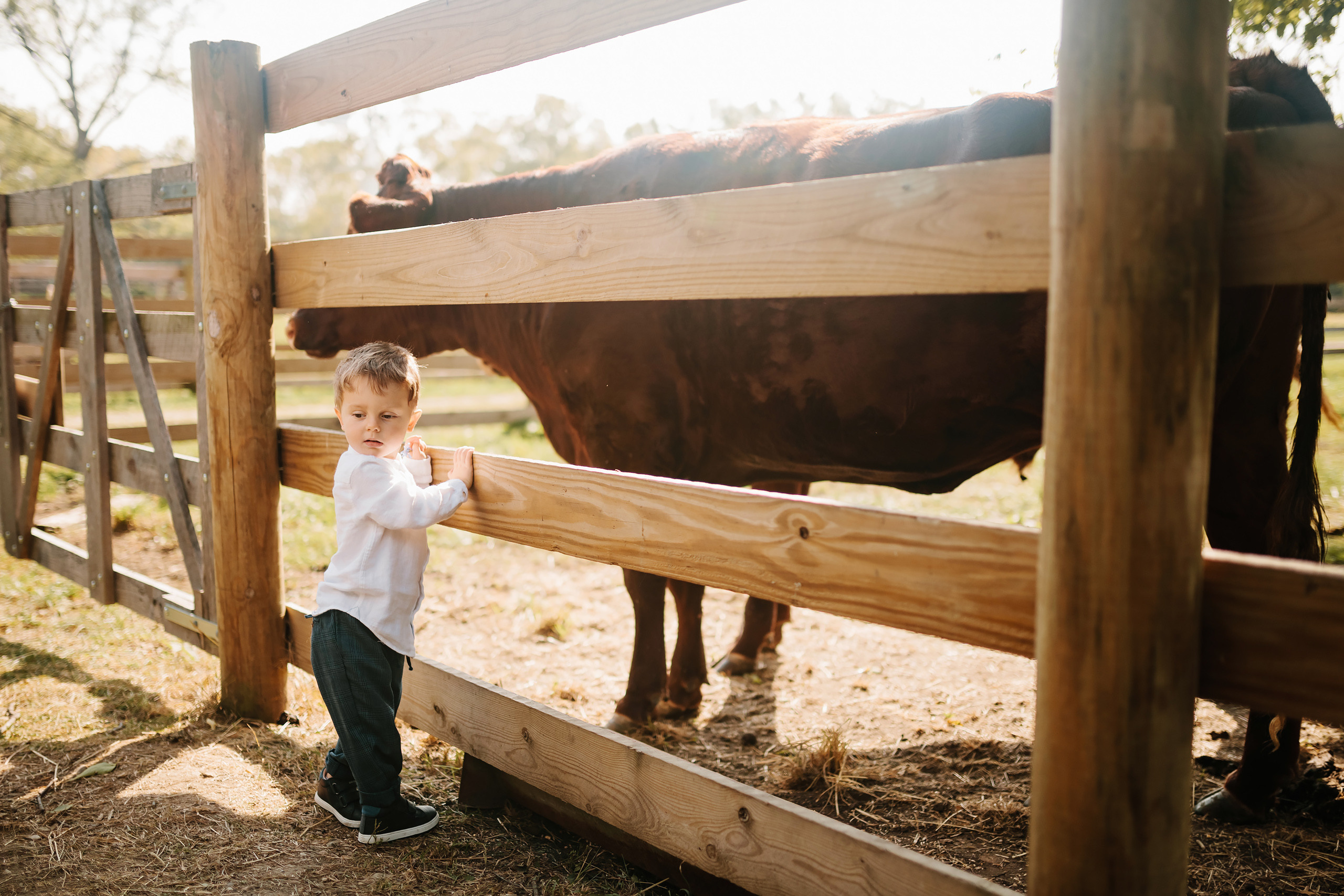 10.02.2021 Family photoshoot. Wedding family event photographer in Chicago Nick Yushevich