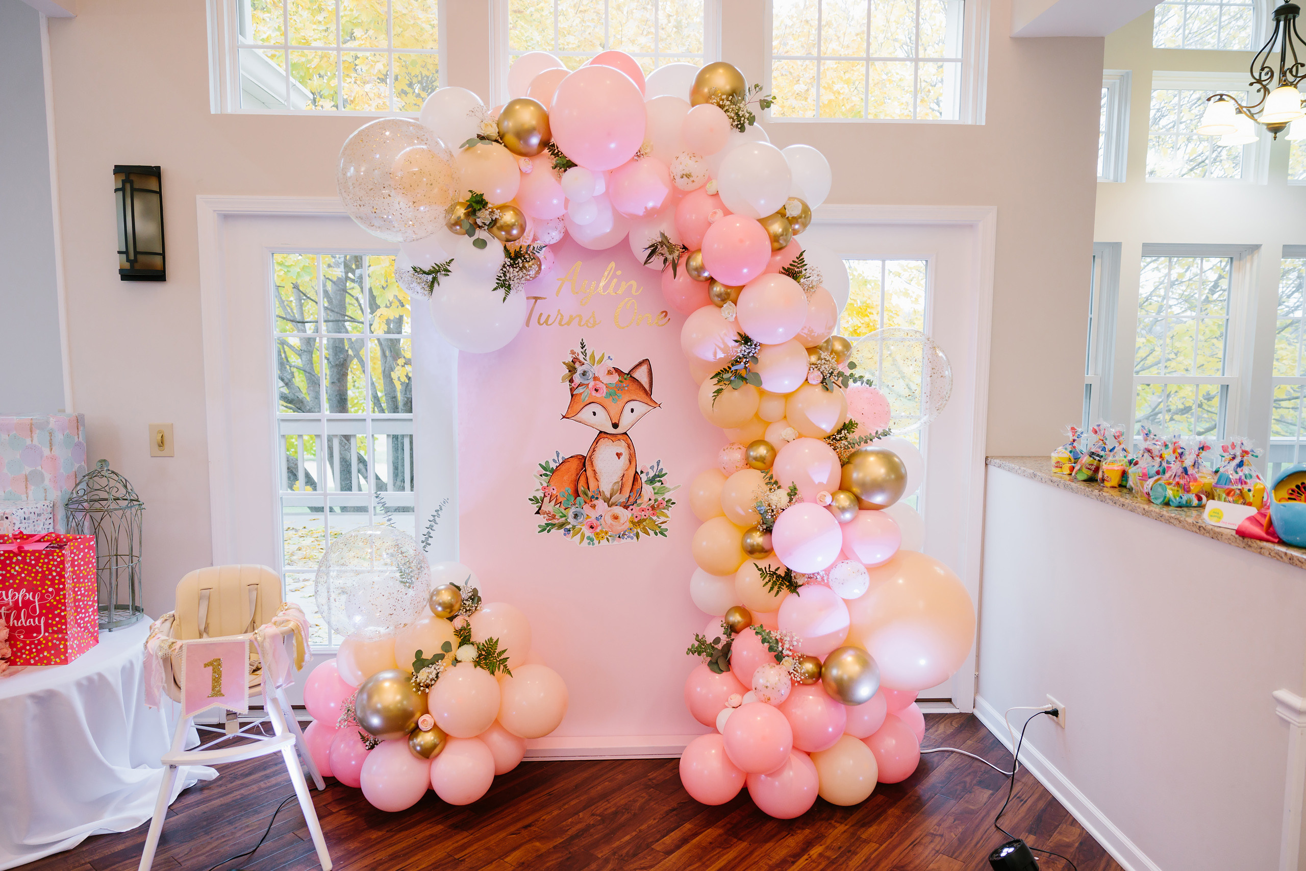 11.13.2021 First birthday. Wedding family event photographer in Chicago Nick Yushevich