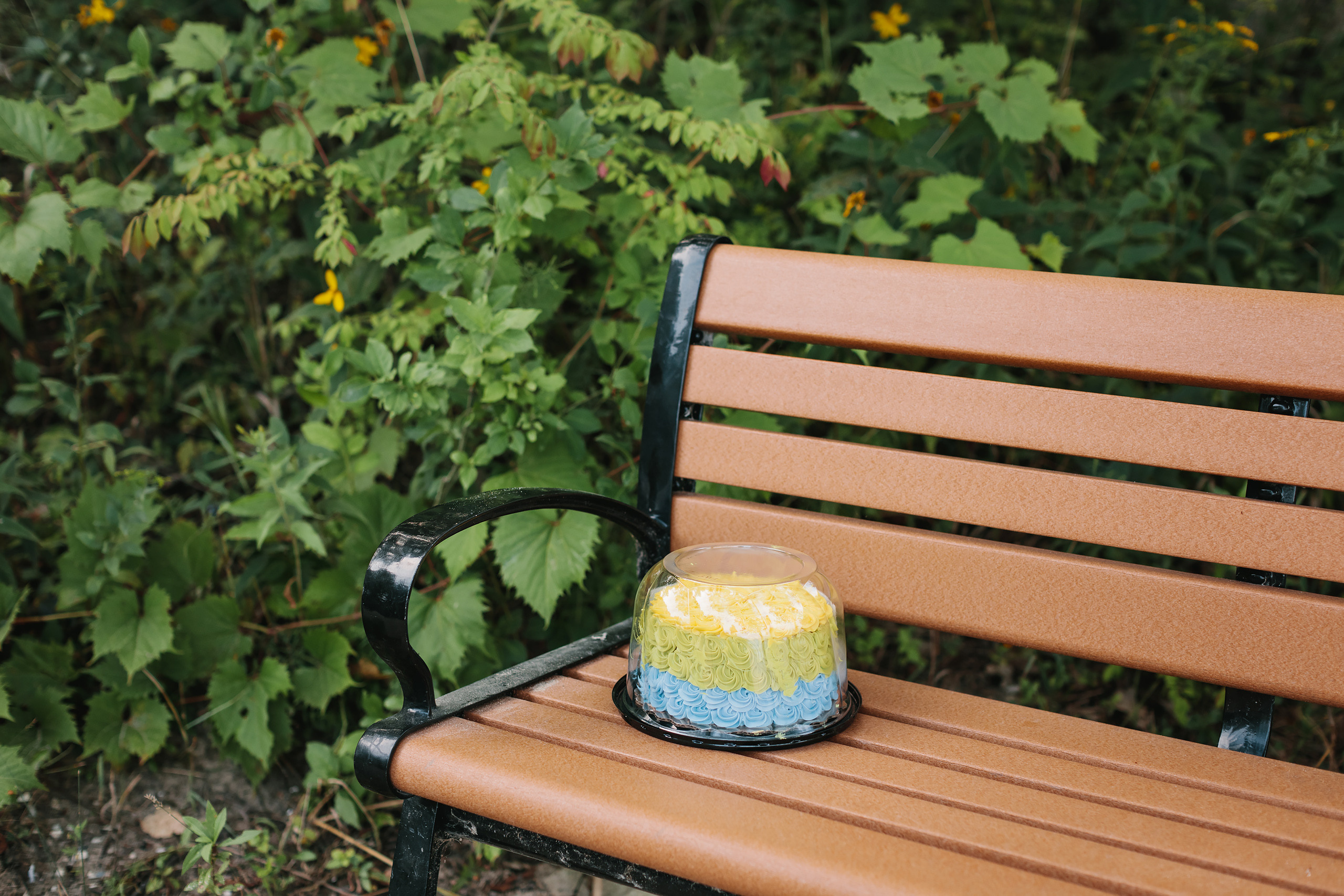 08.20.2021 Family photoshoot. Wedding family event photographer in Chicago Nick Yushevich