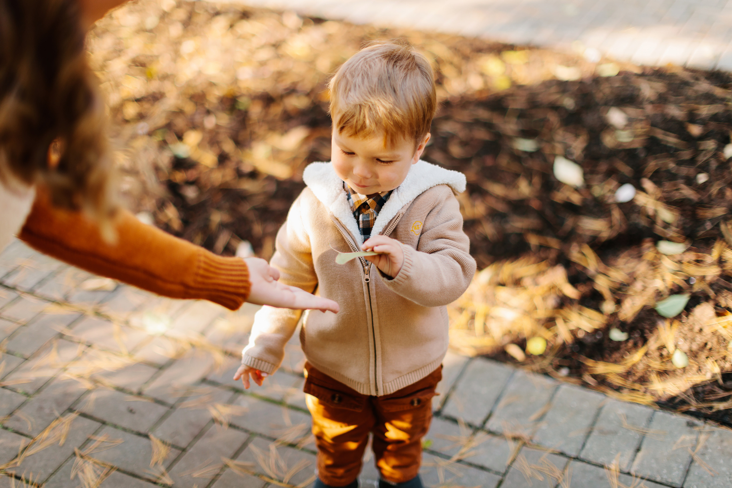 11.05.2021 Family photoshoot. Wedding family event photographer in Chicago Nick Yushevich