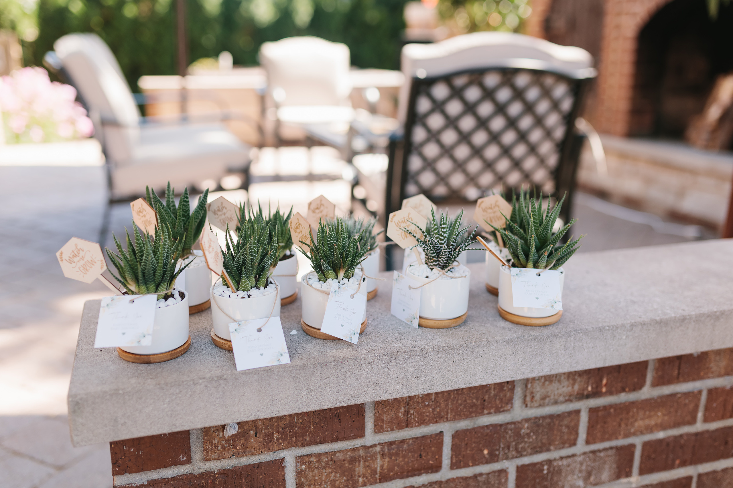 08.15.2021 Baby shower. Wedding family event photographer in Chicago Nick Yushevich