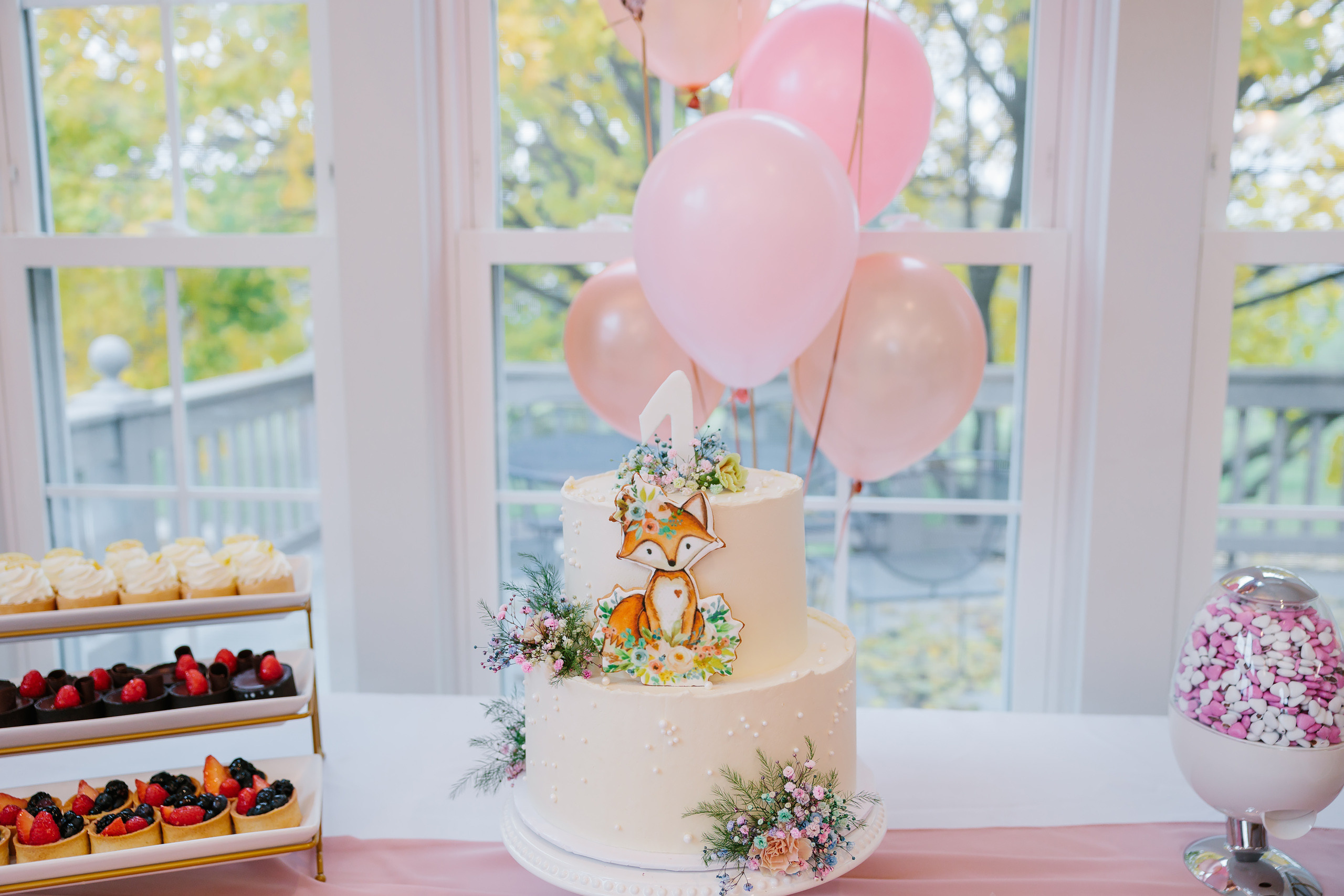 11.13.2021 First birthday. Wedding family event photographer in Chicago Nick Yushevich