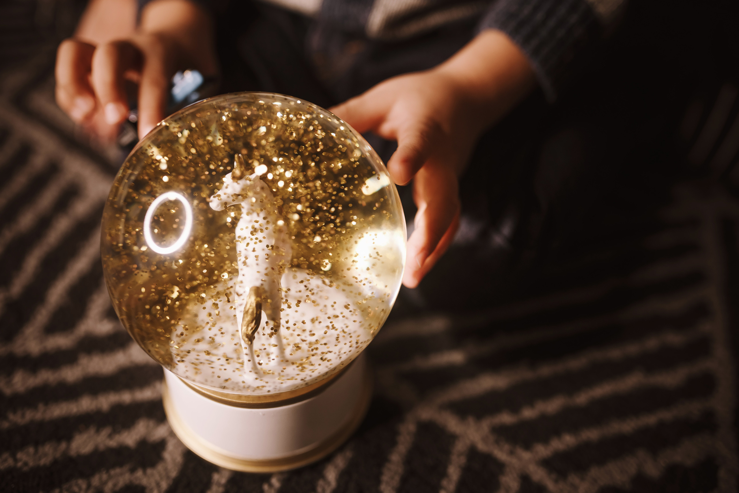 11212021 Christmas Photoshoot 4. Wedding family event photographer in Chicago Nick Yushevich