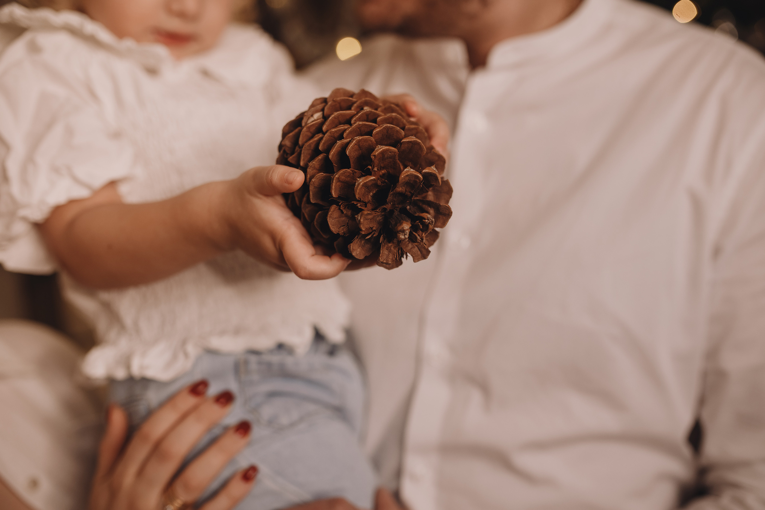 12152021 Christmas Photoshoot 15. Wedding family event photographer in Chicago Nick Yushevich