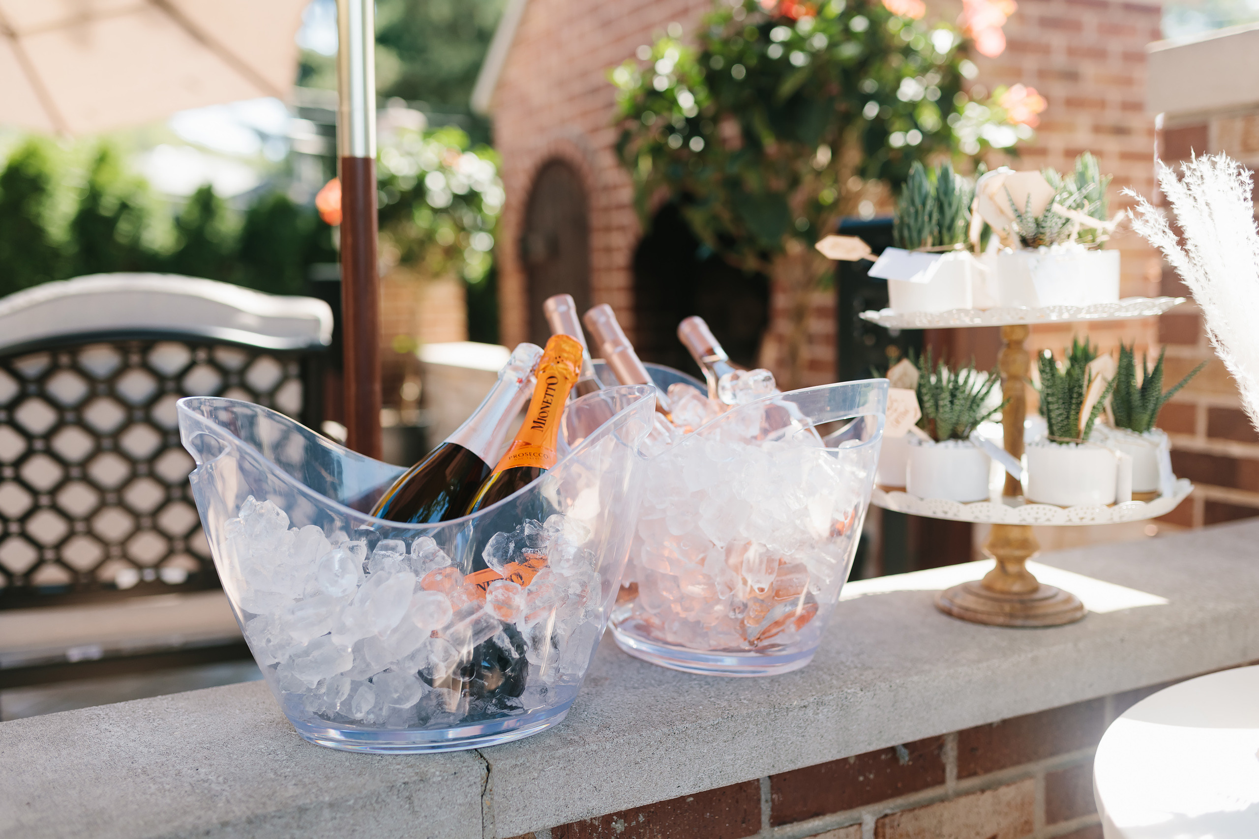 08.15.2021 Baby shower. Wedding family event photographer in Chicago Nick Yushevich