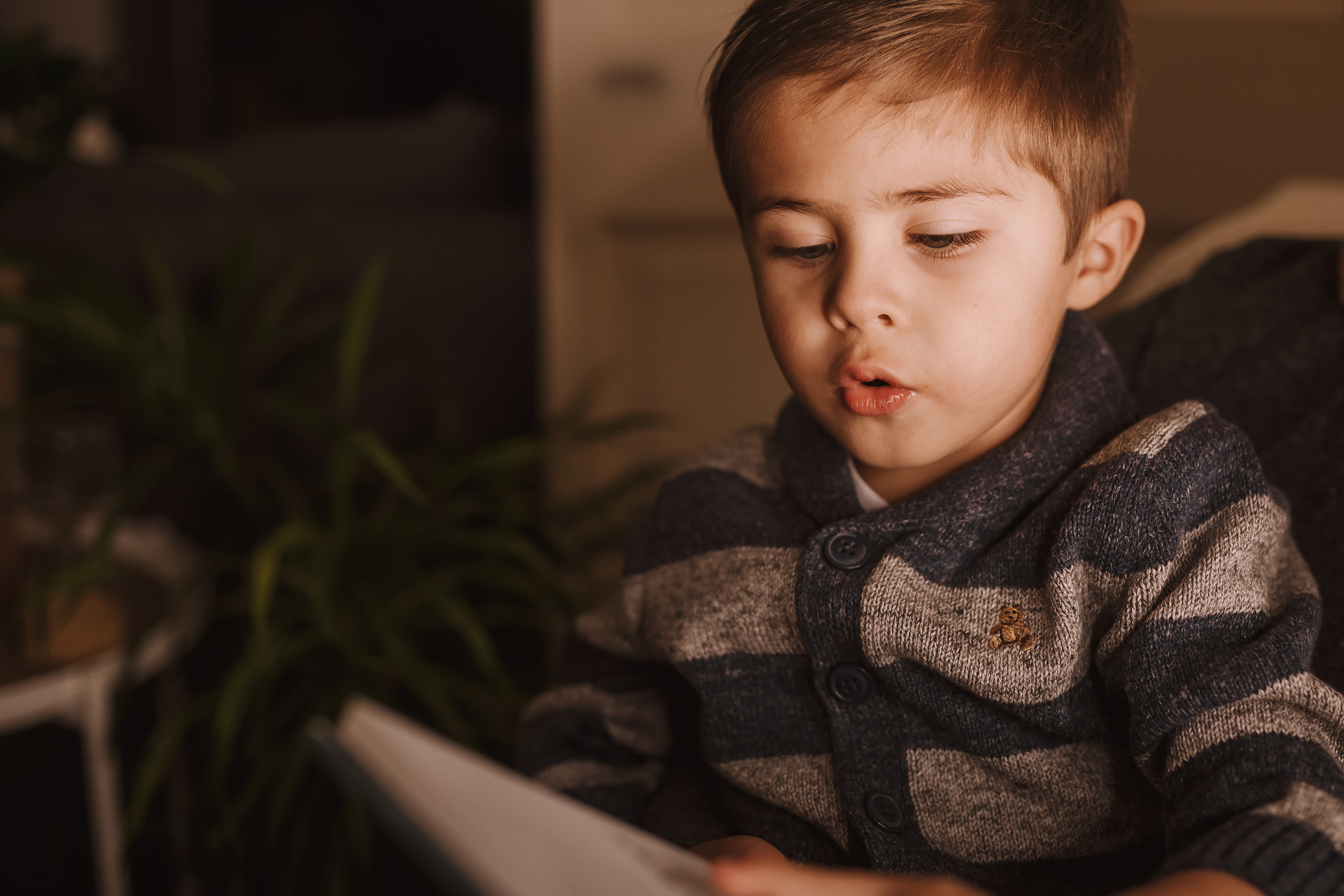 11212021 Christmas Photoshoot 4. Wedding family event photographer in Chicago Nick Yushevich