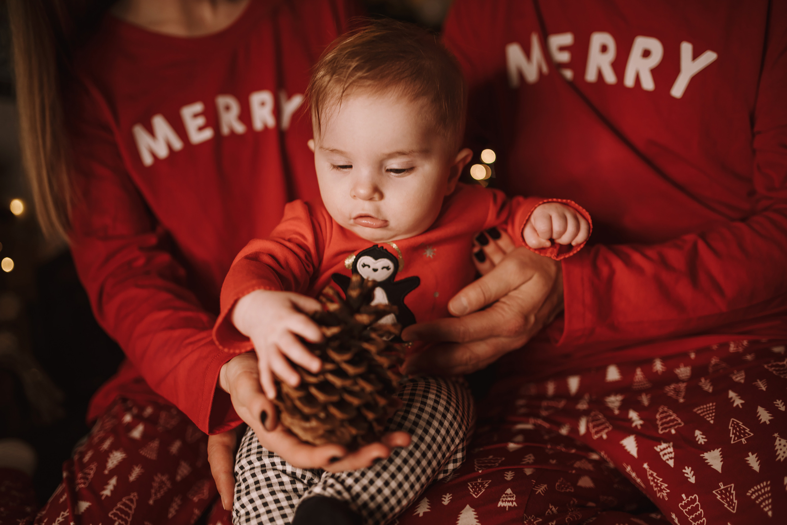 11282021 Christmas Photoshoot 6. Wedding family event photographer in Chicago Nick Yushevich