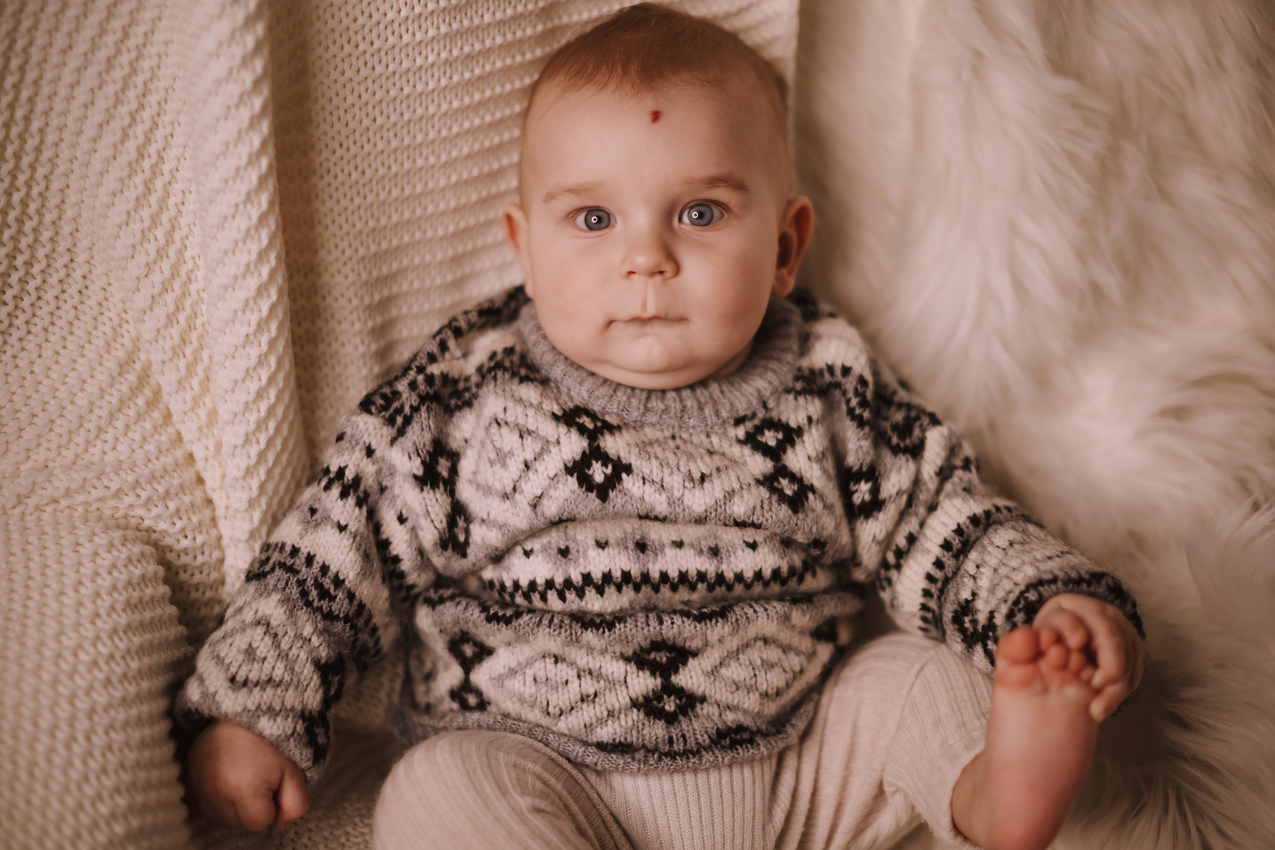 12052021 Christmas Photoshoot 10. Wedding family event photographer in Chicago Nick Yushevich