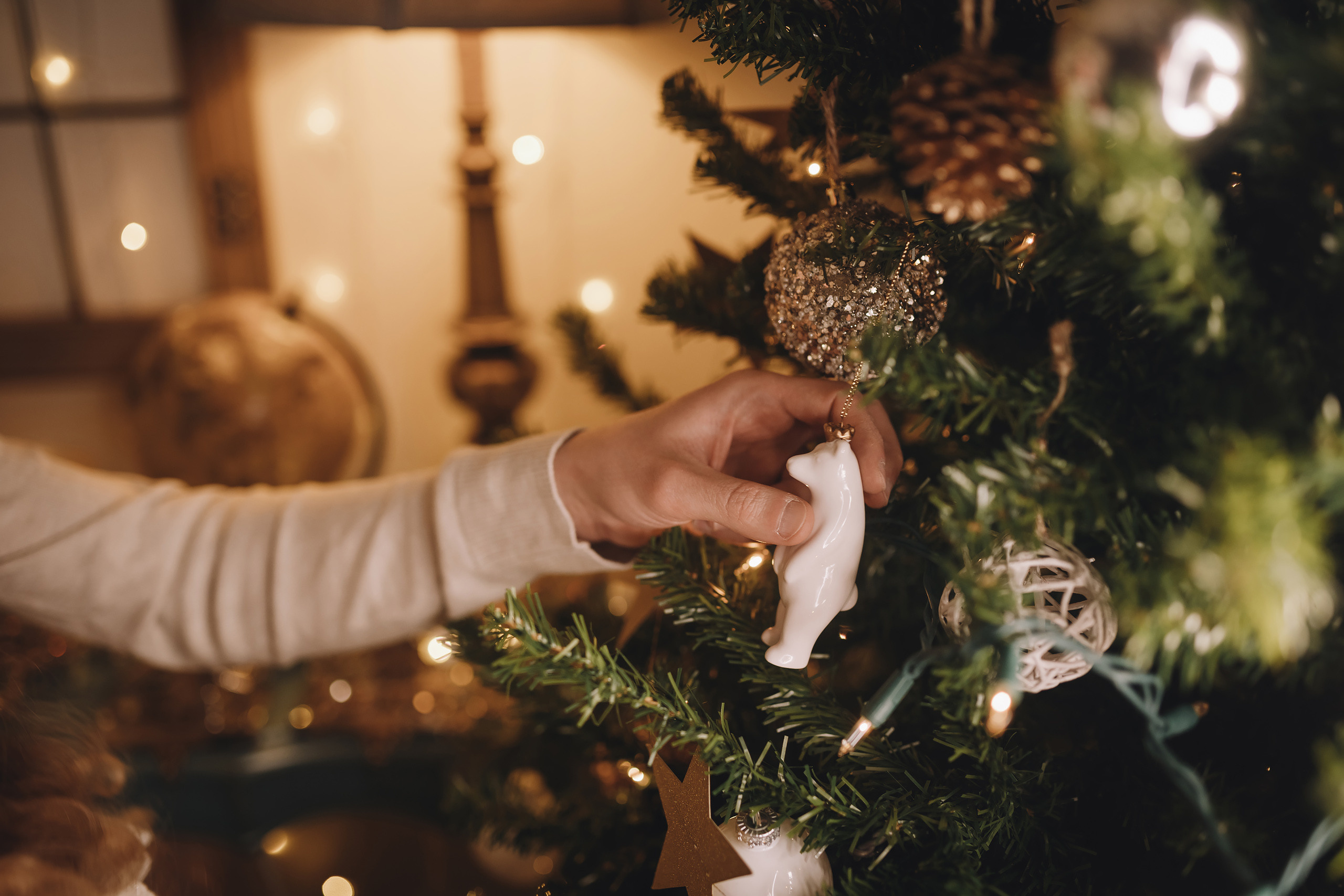 12112021 Christmas Photoshoot 12. Wedding family event photographer in Chicago Nick Yushevich