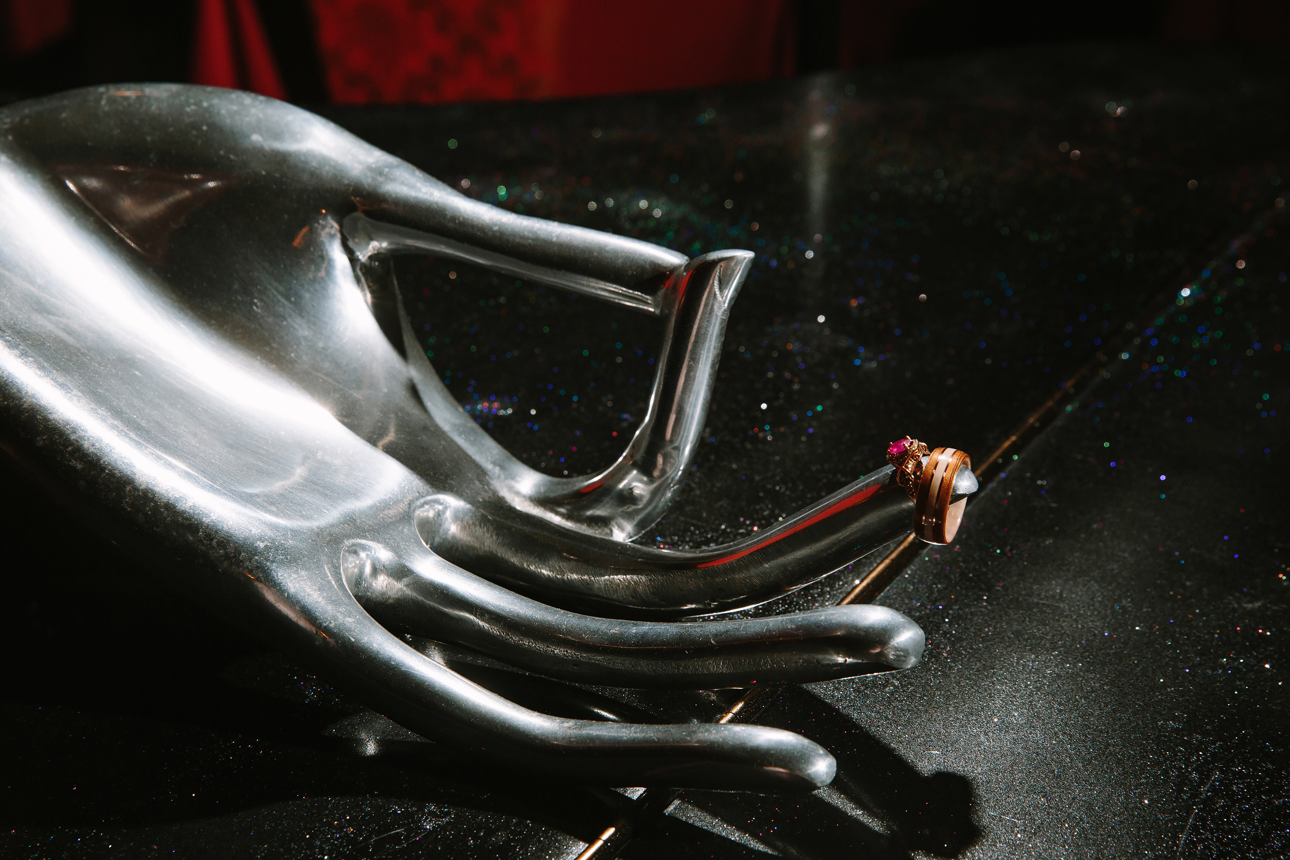 08.03.2019 Wedding. Wedding family event photographer in Chicago Nick Yushevich