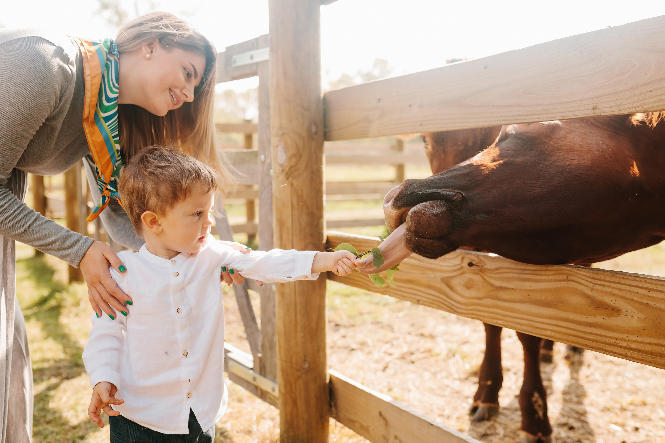 10.02.2021 Family photoshoot. Wedding family event photographer in Chicago Nick Yushevich