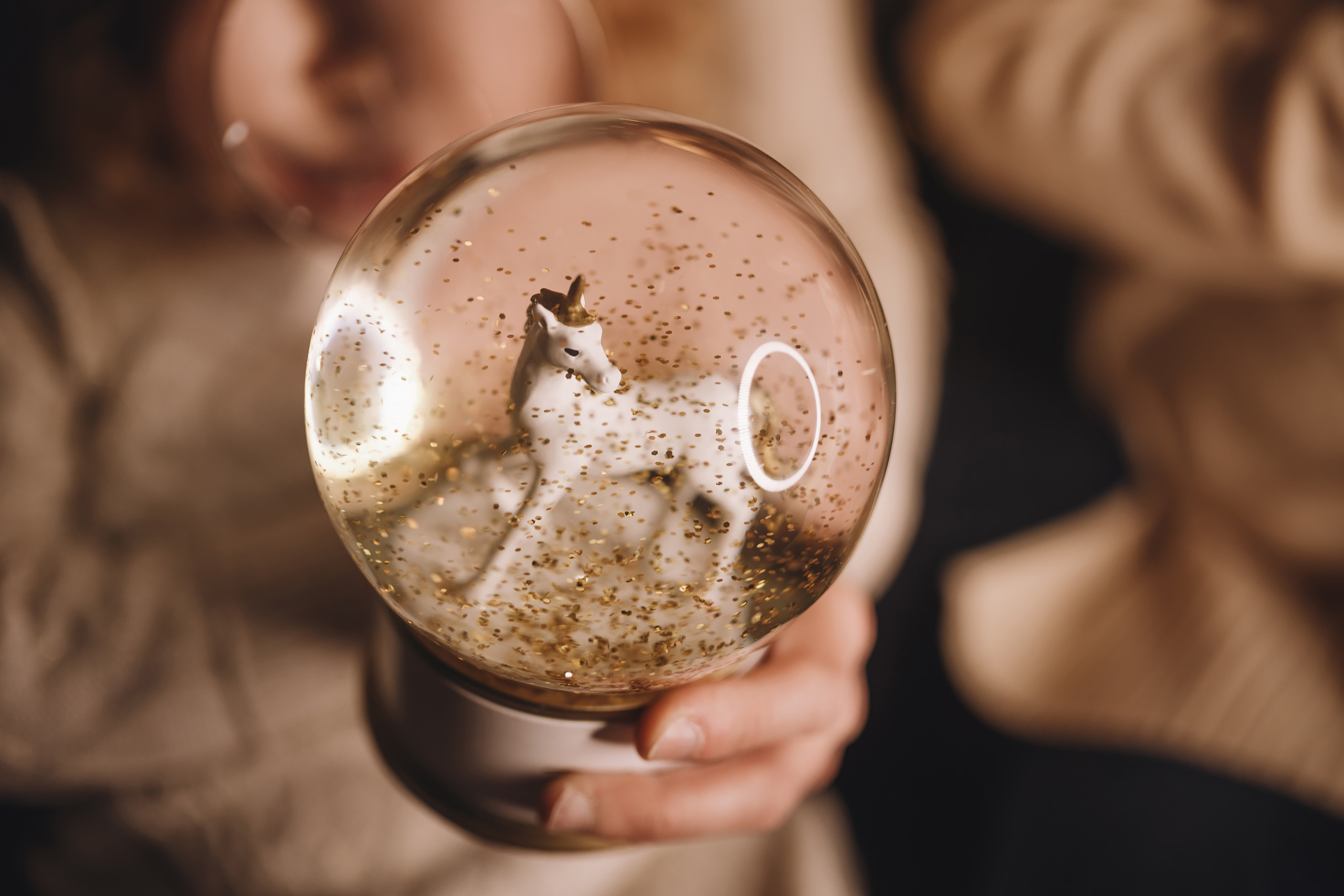 12112021 Christmas Photoshoot 12. Wedding family event photographer in Chicago Nick Yushevich