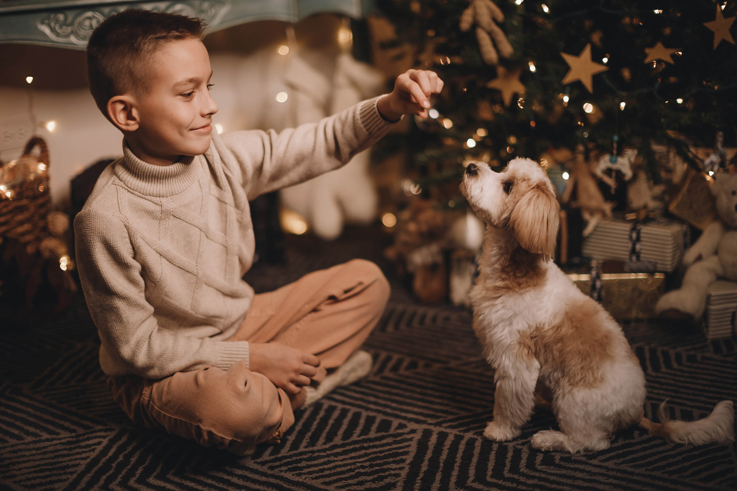 12142021 Christmas Photoshoot 14. Wedding family event photographer in Chicago Nick Yushevich