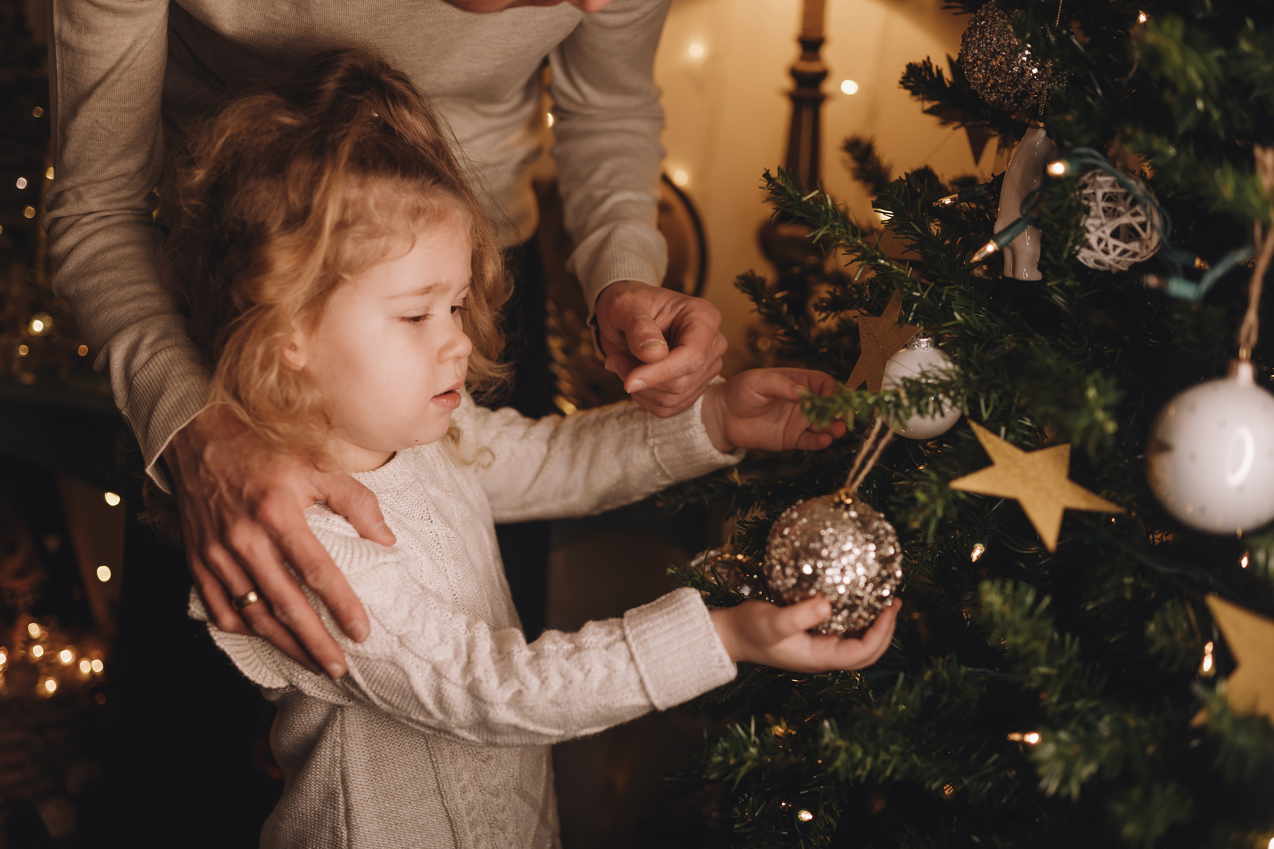 12112021 Christmas Photoshoot 12. Wedding family event photographer in Chicago Nick Yushevich