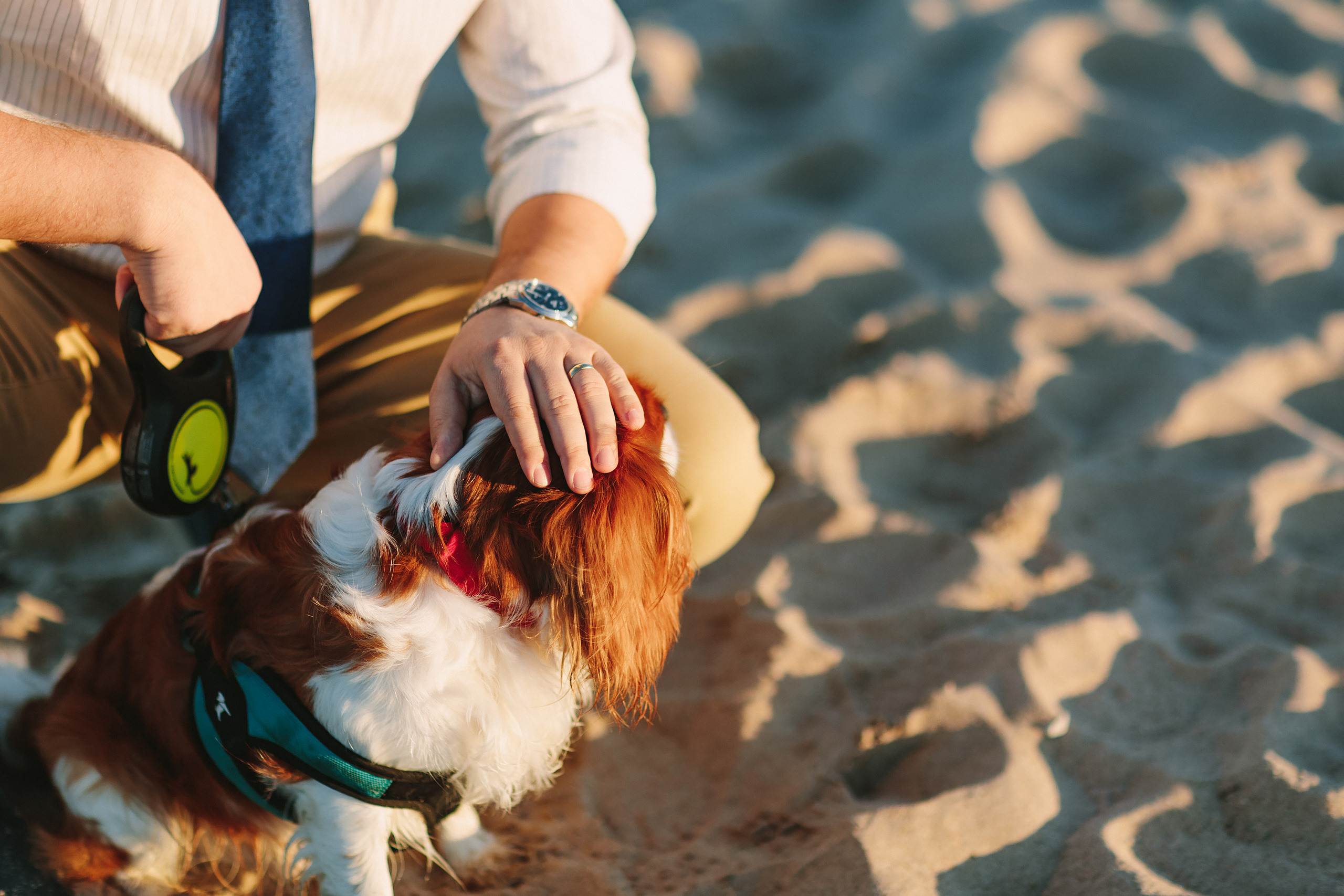 10.18.2021 Walk in Chicago. Wedding family event photographer in Chicago Nick Yushevich