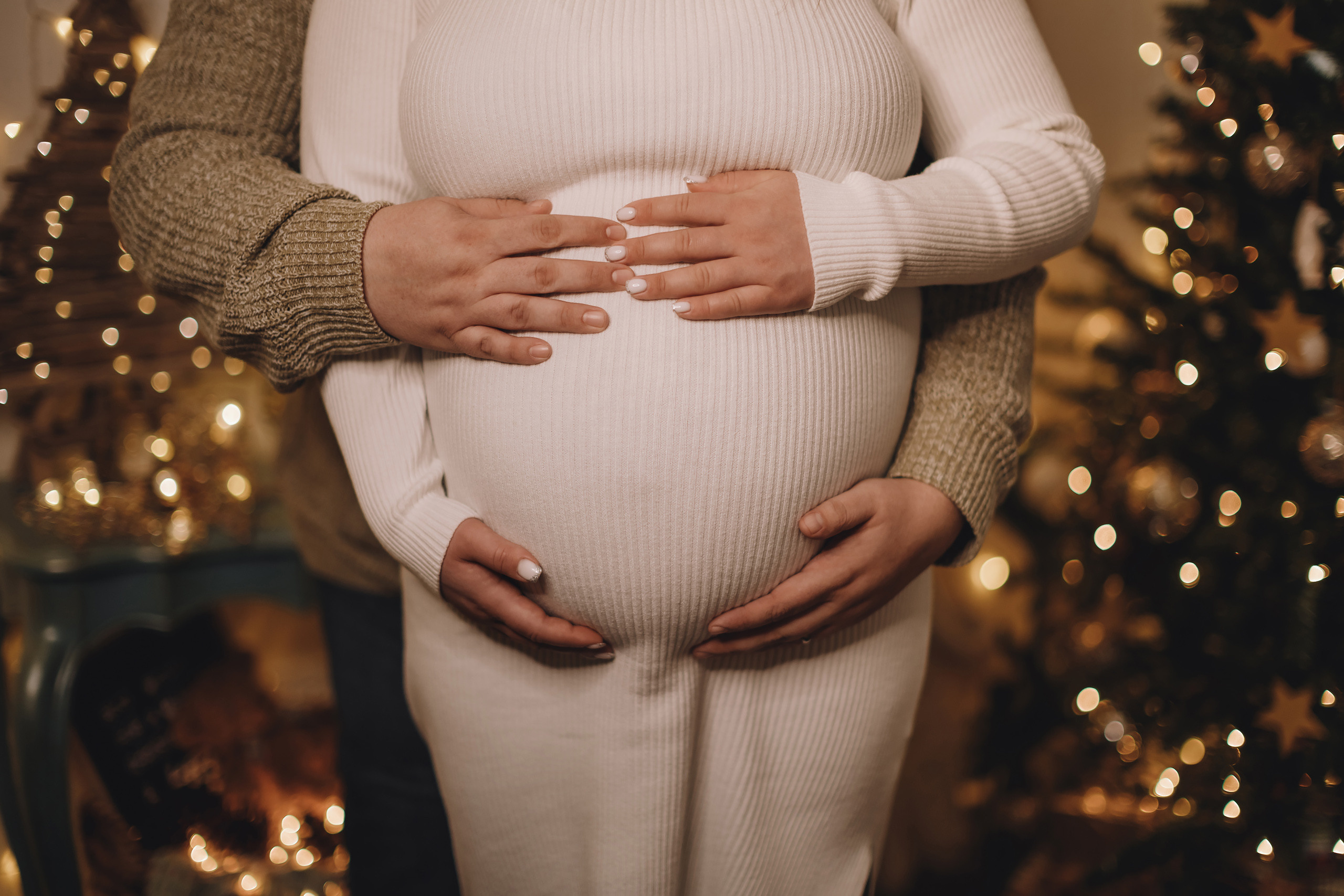 12122021 Christmas Photoshoot 13. Wedding family event photographer in Chicago Nick Yushevich