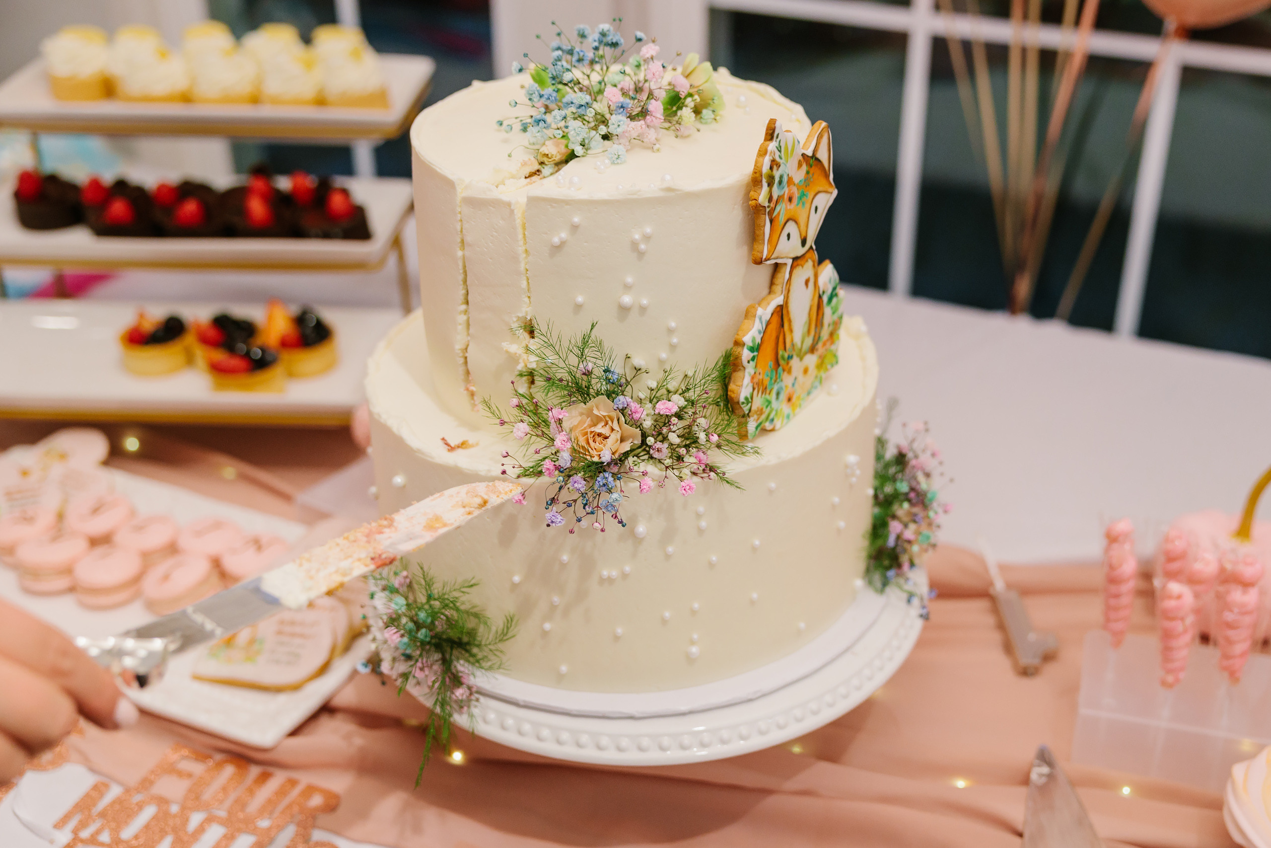 11.13.2021 First birthday. Wedding family event photographer in Chicago Nick Yushevich