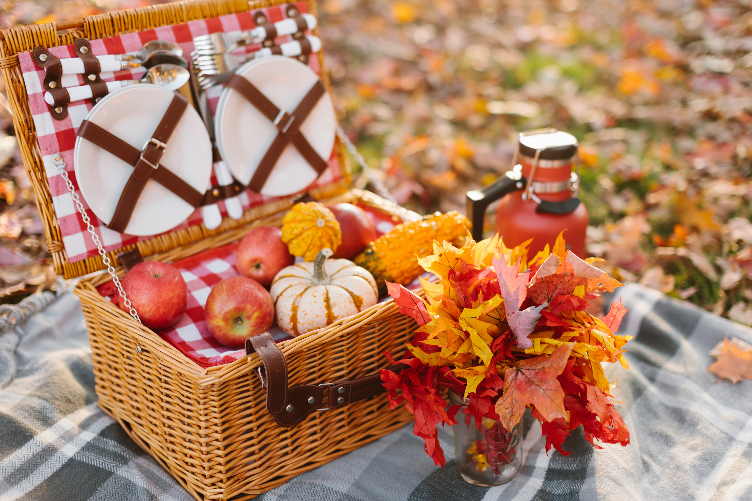 11.05.2021 Family photoshoot. Wedding family event photographer in Chicago Nick Yushevich