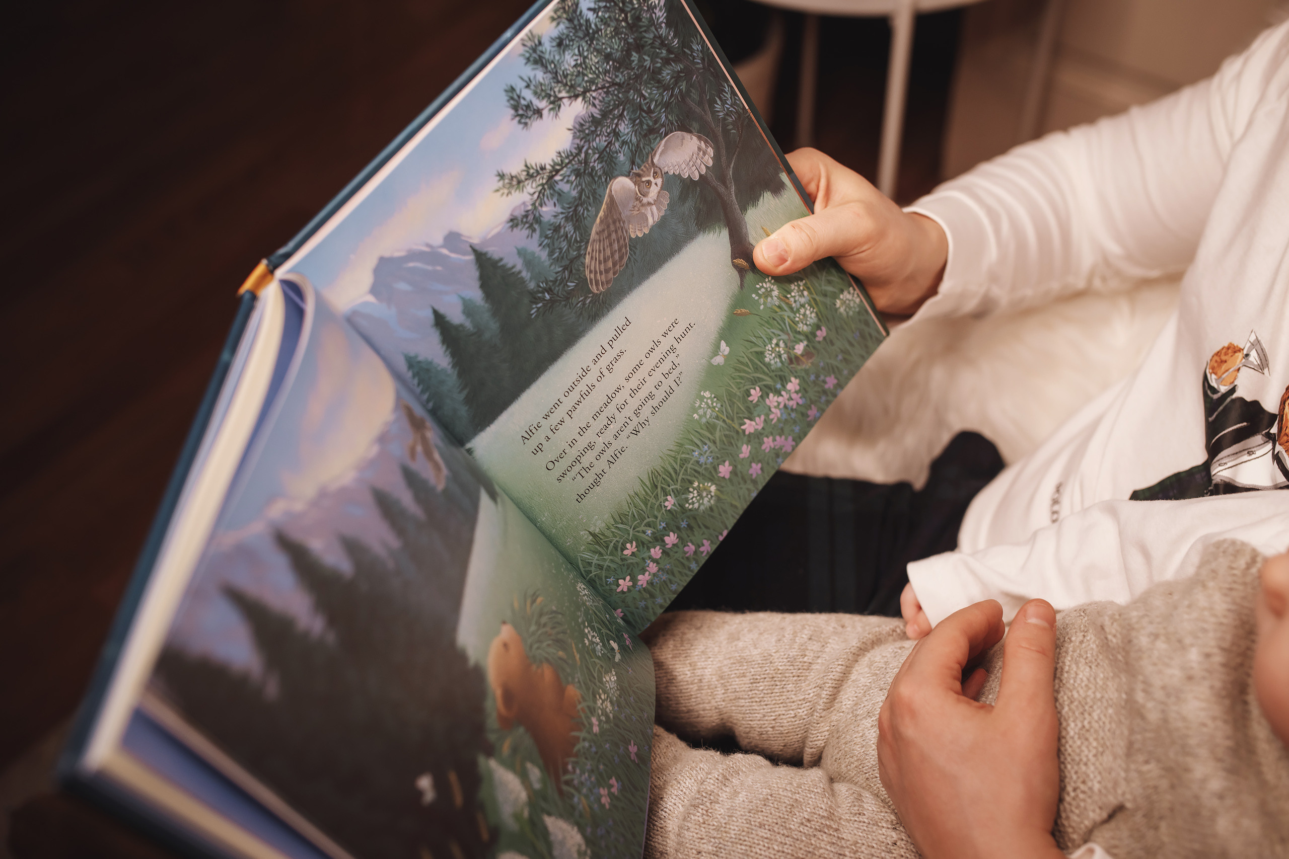 12142019 Christmas Family Photoshoot. Wedding family event photographer in Chicago Nick Yushevich