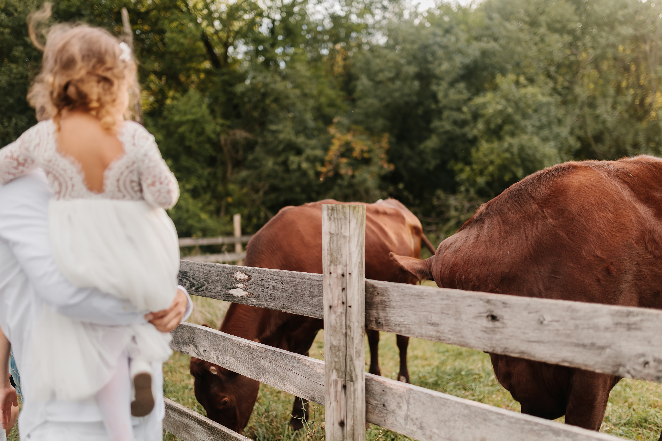 09.26.2021 Family photoshoot. Wedding family event photographer in Chicago Nick Yushevich