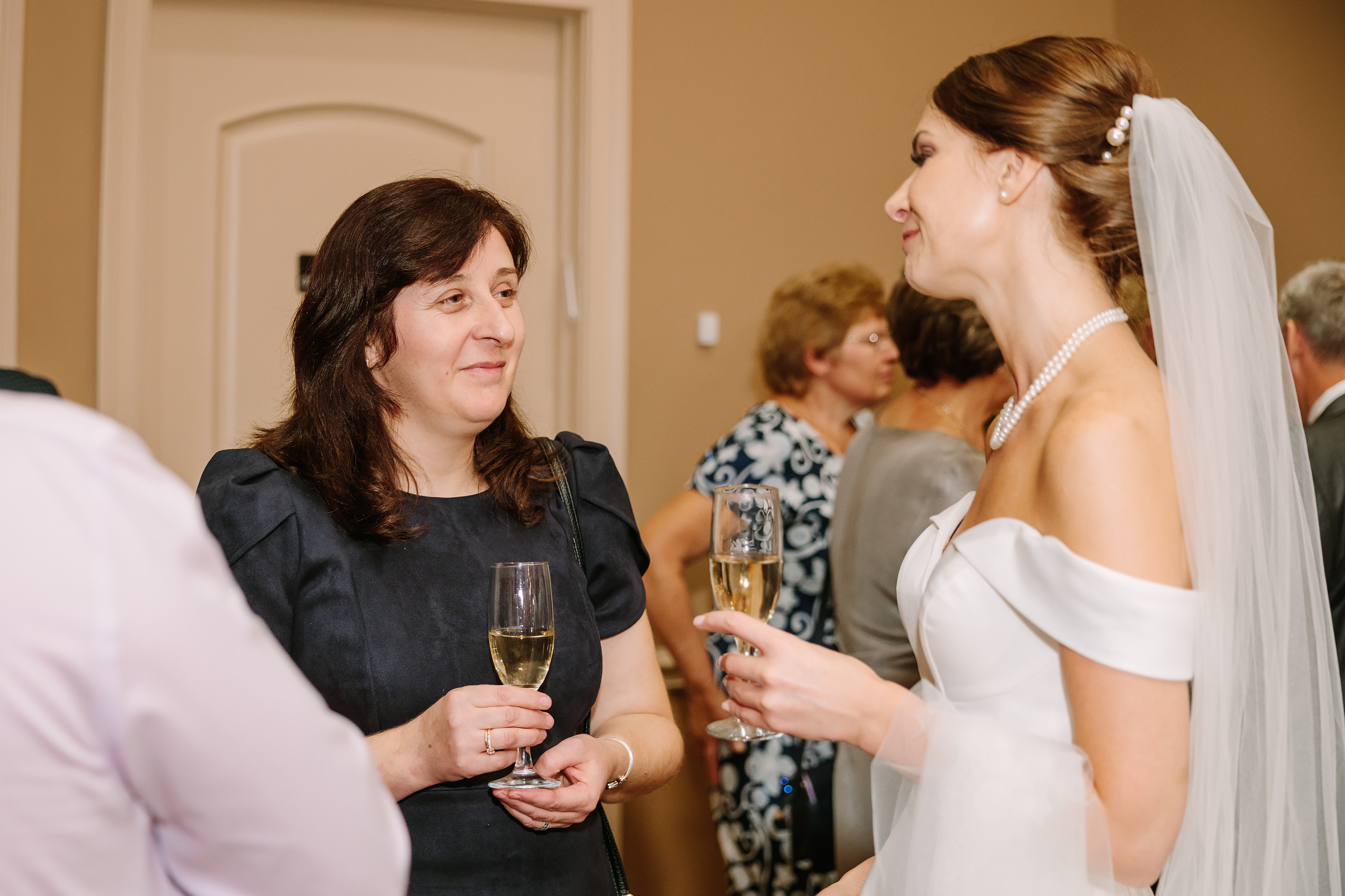 10.02.2021 Wedding. Wedding family event photographer in Chicago Nick Yushevich