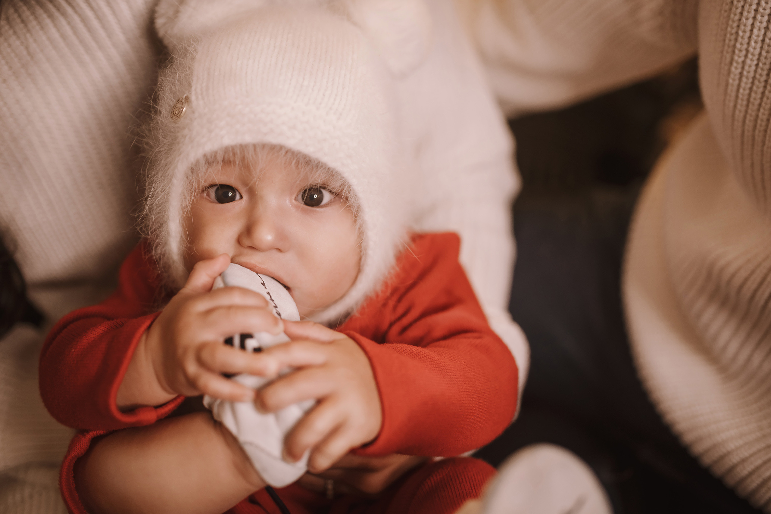 11182021 Christmas Photoshoot 2. Wedding family event photographer in Chicago Nick Yushevich