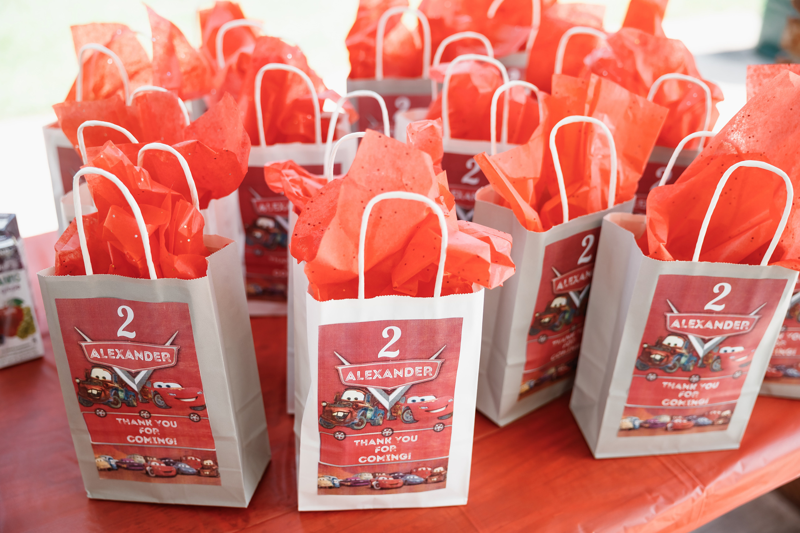 08.22.2021 Birthday photoshoot. Wedding family event photographer in Chicago Nick Yushevich