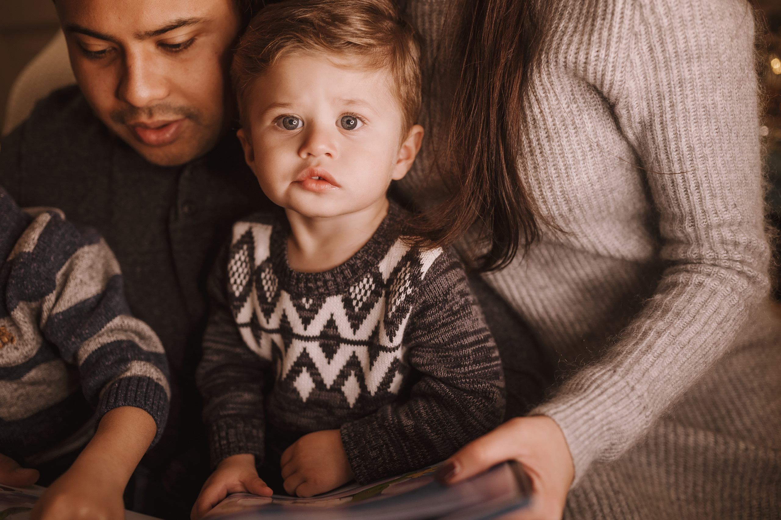 11212021 Christmas Photoshoot 4. Wedding family event photographer in Chicago Nick Yushevich