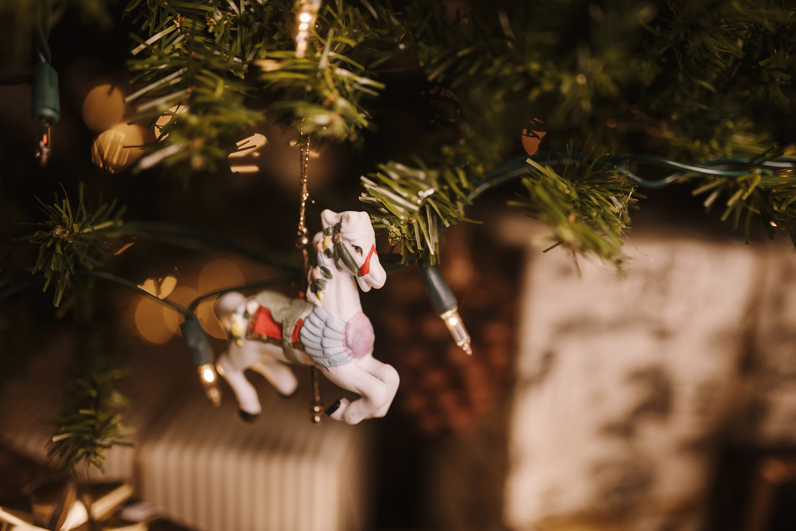 12042021 Christmas Photoshoot 8. Wedding family event photographer in Chicago Nick Yushevich