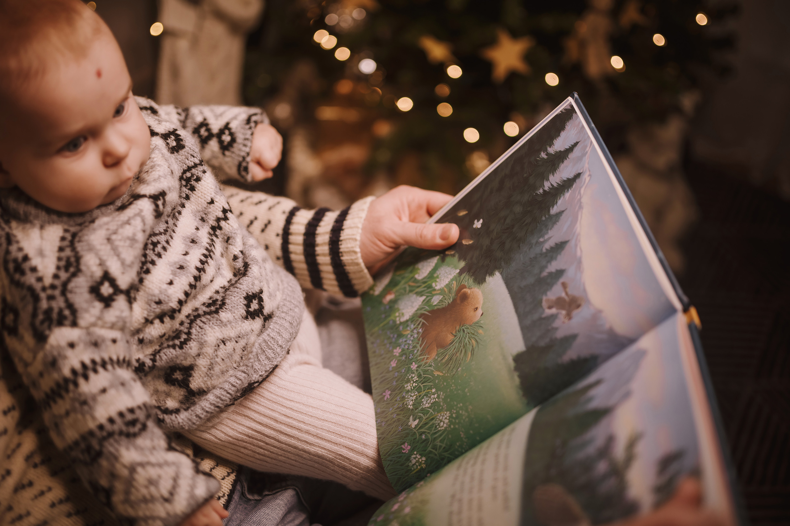 12052021 Christmas Photoshoot 10. Wedding family event photographer in Chicago Nick Yushevich