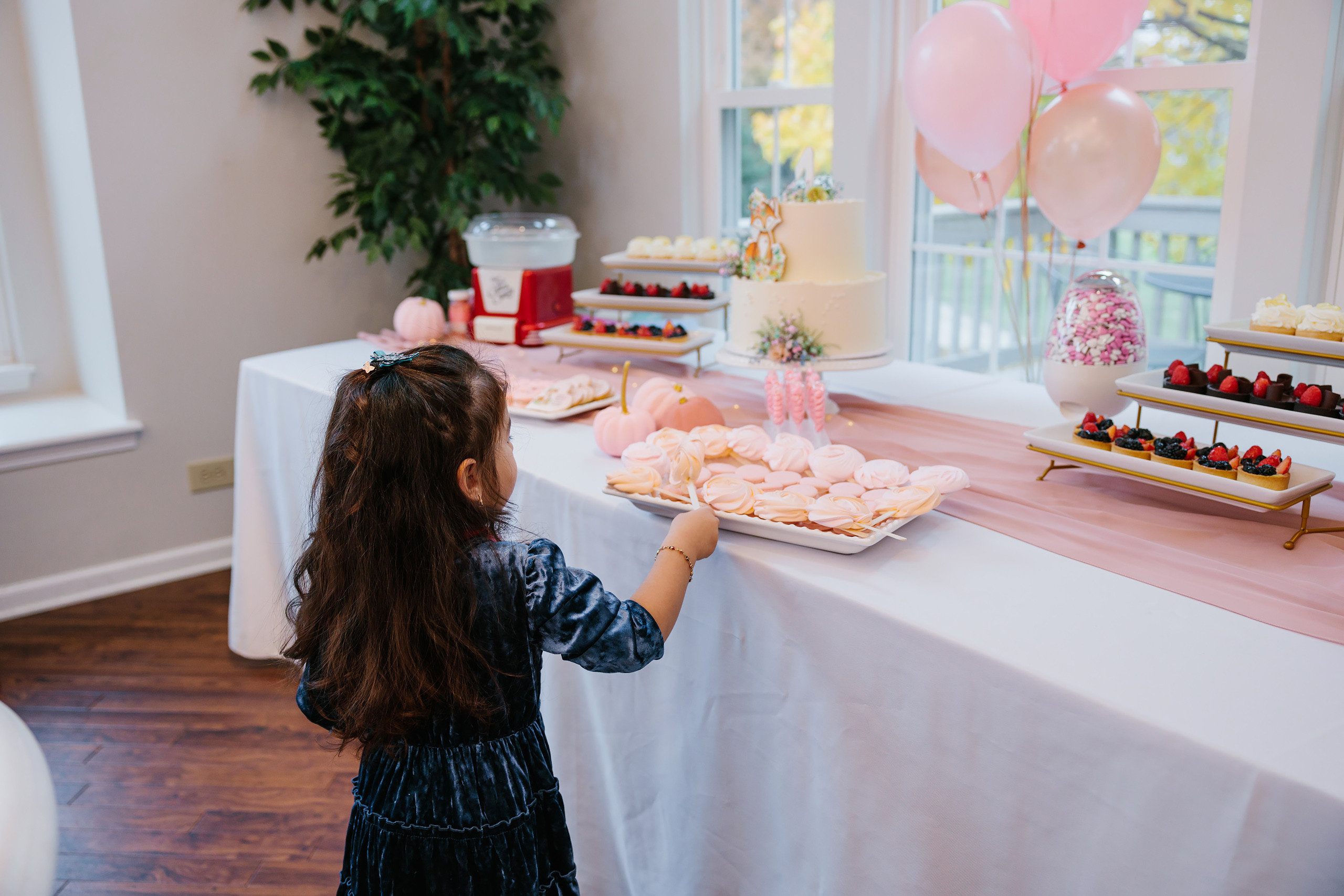 11.13.2021 First birthday. Wedding family event photographer in Chicago Nick Yushevich