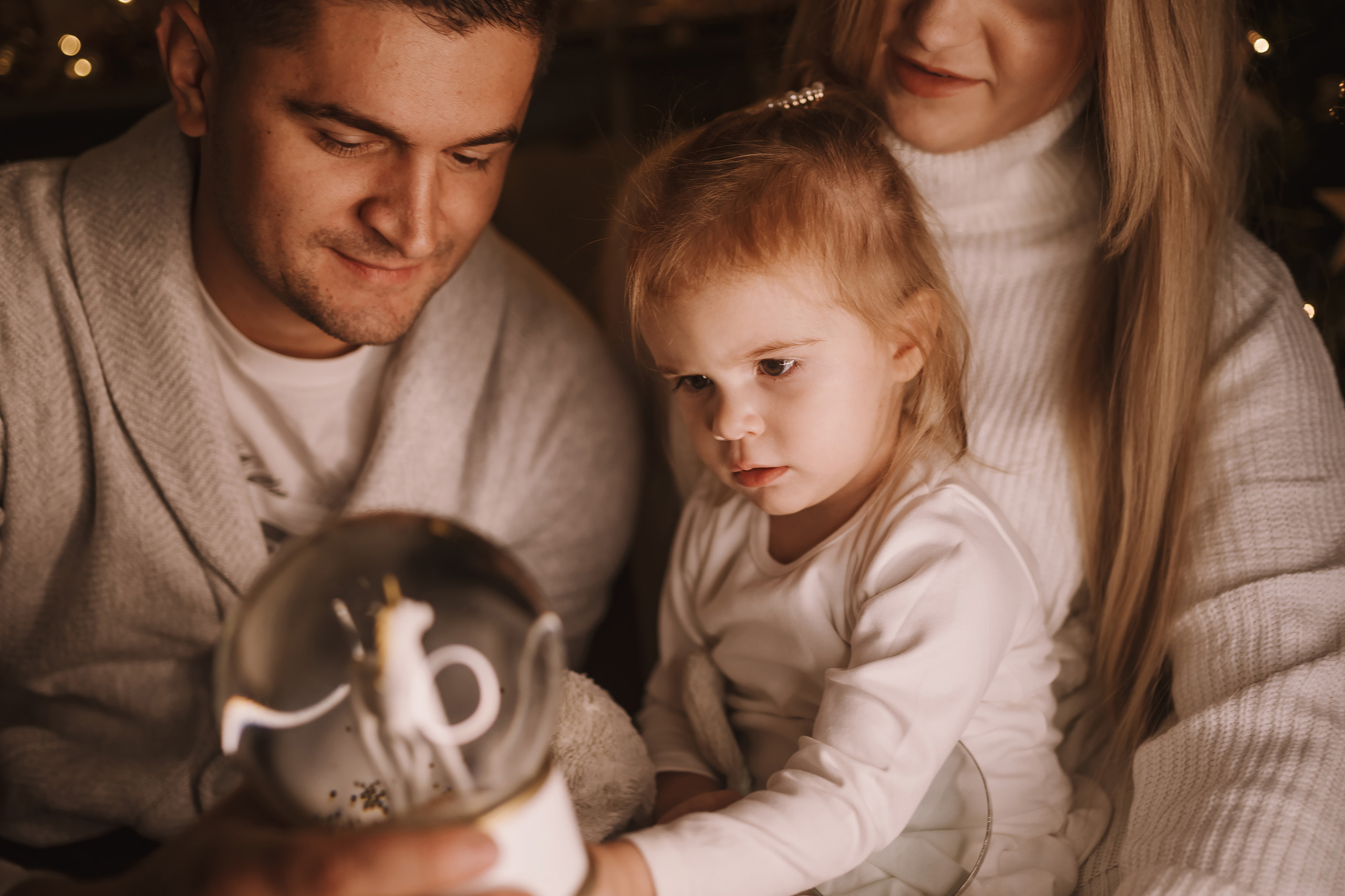 11212021 Christmas Photoshoot 3. Wedding family event photographer in Chicago Nick Yushevich