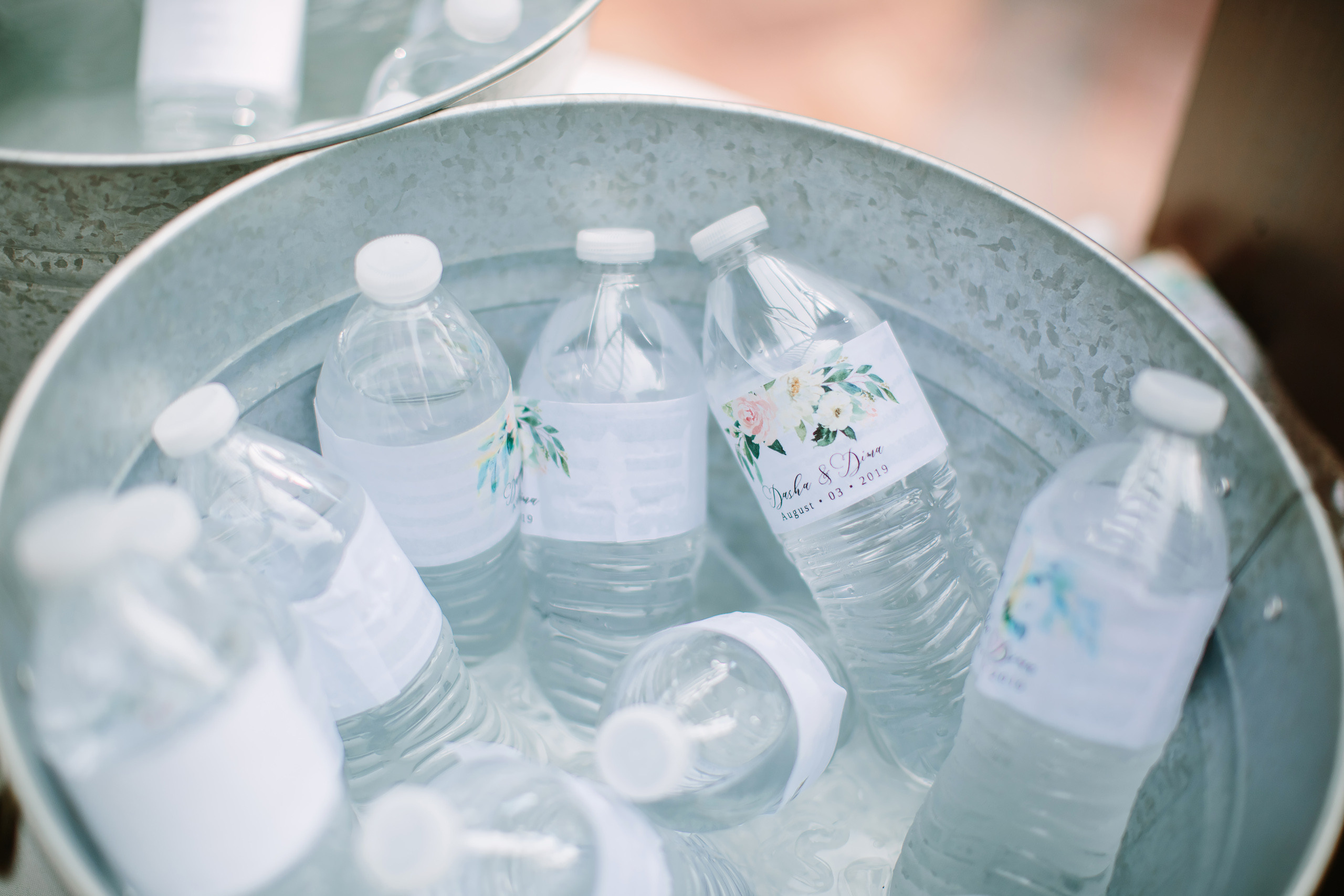 08.03.2019 Wedding. Wedding family event photographer in Chicago Nick Yushevich