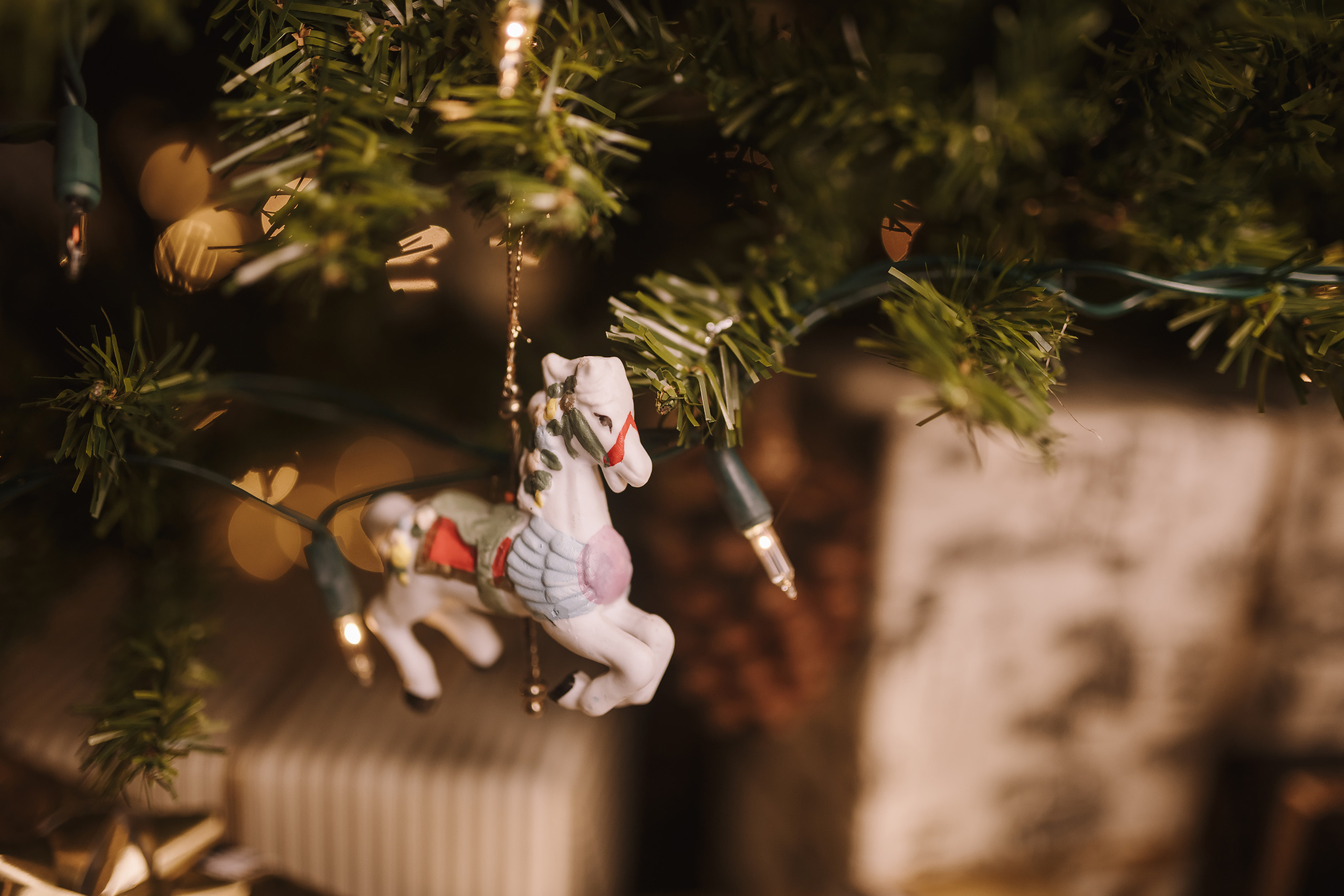 12042021 Christmas Photoshoot 9. Wedding family event photographer in Chicago Nick Yushevich