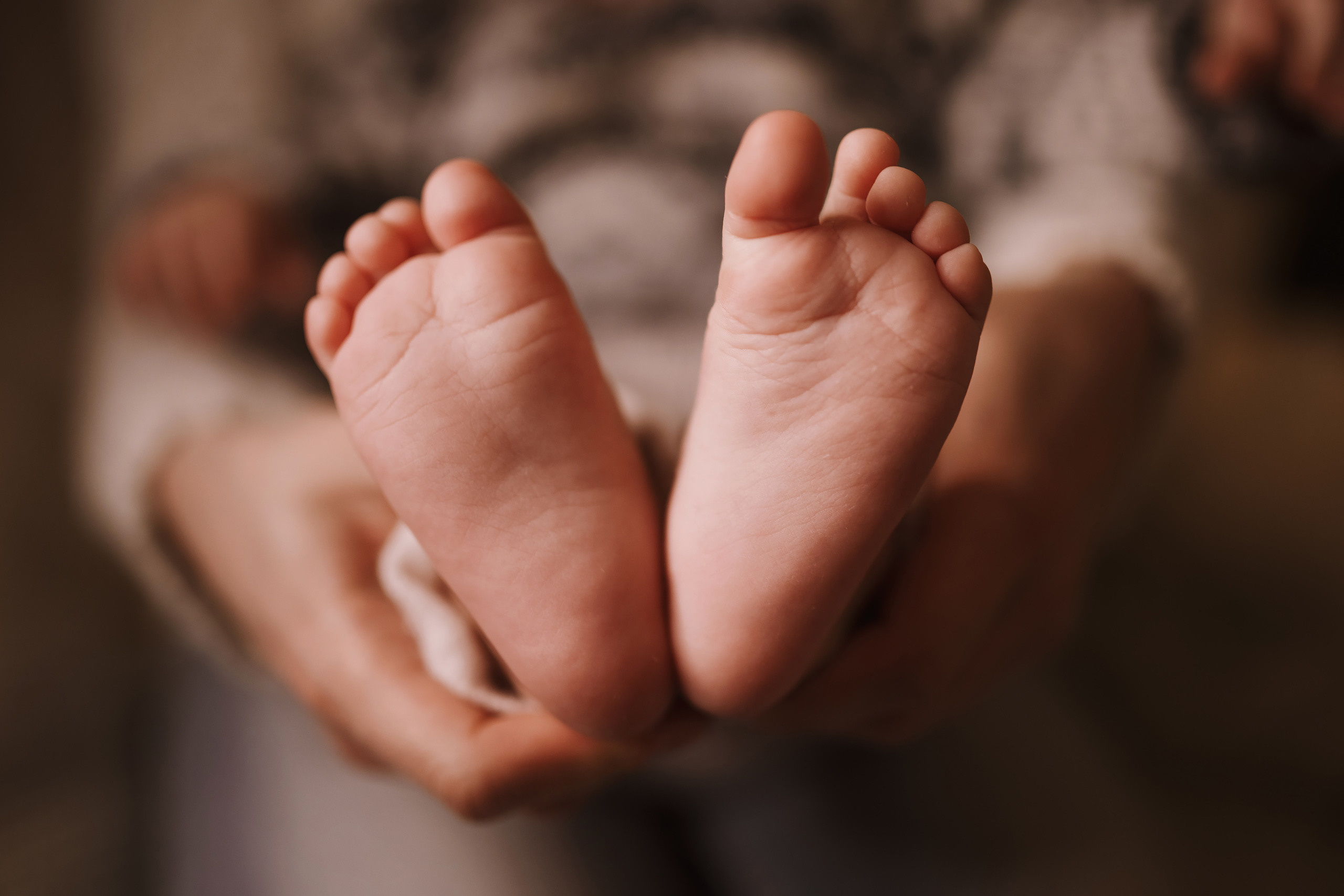 12052021 Christmas Photoshoot 10. Wedding family event photographer in Chicago Nick Yushevich