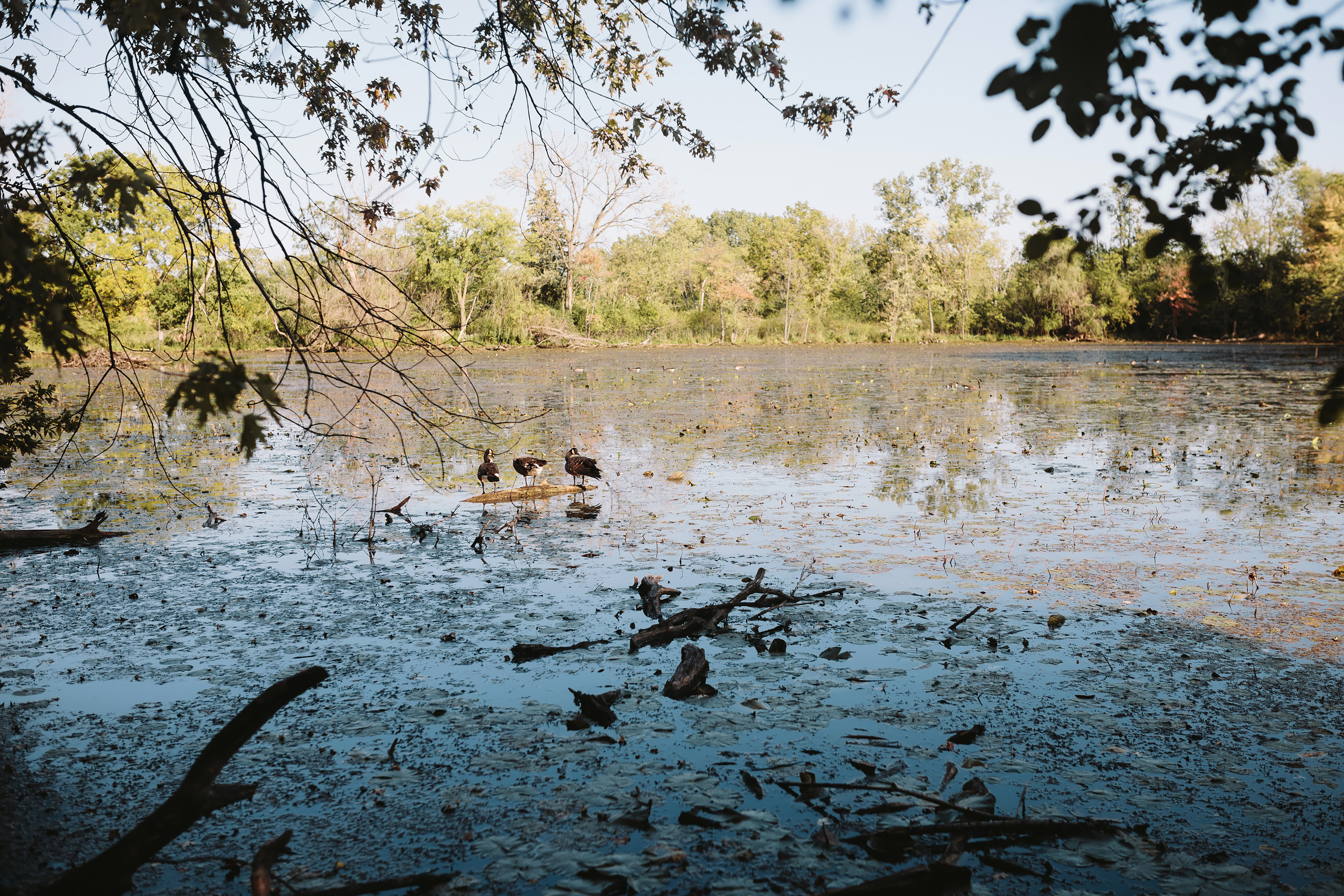 09.17.2021 Family photoshoot. Wedding family event photographer in Chicago Nick Yushevich