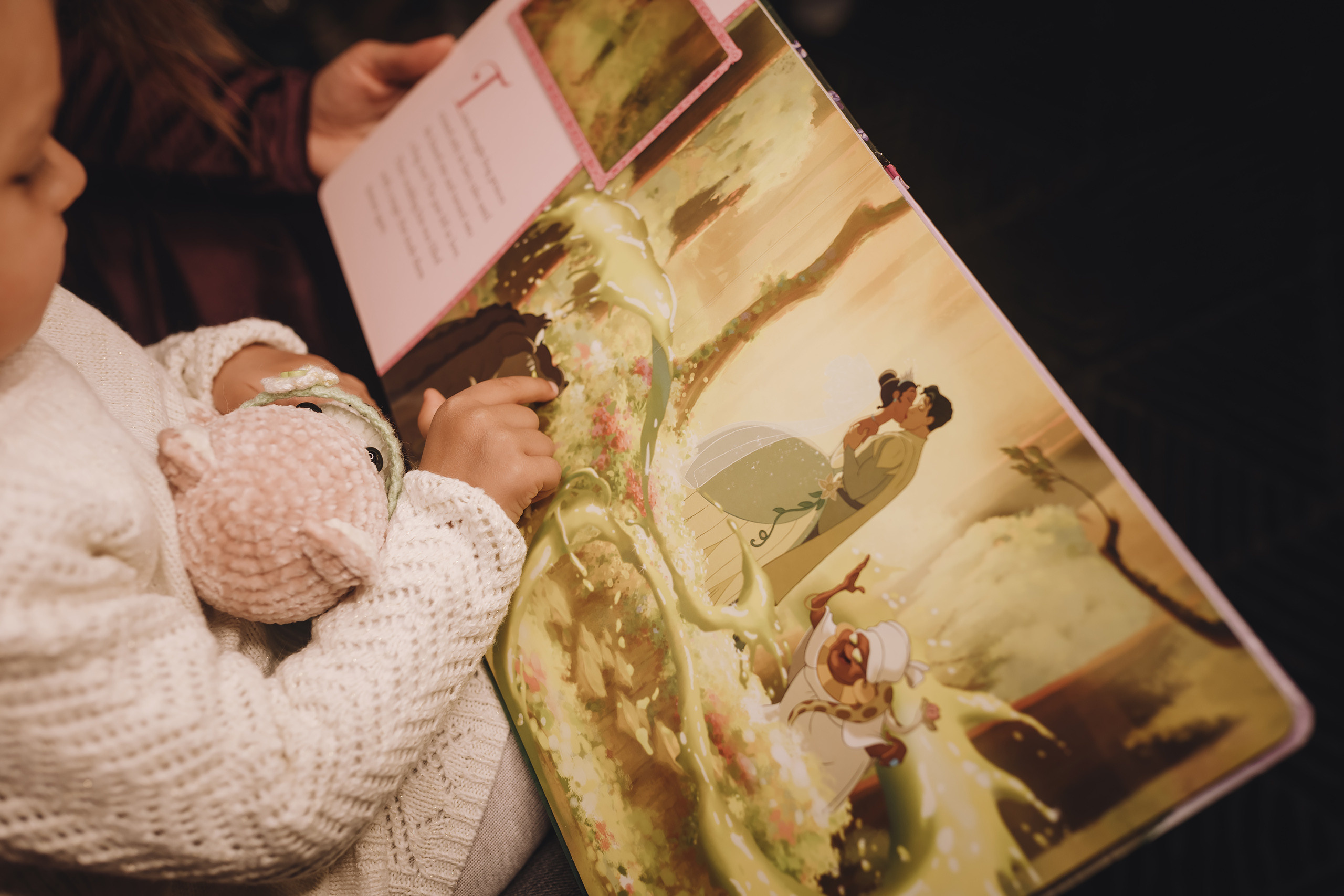 12092021 Christmas Photoshoot 11. Wedding family event photographer in Chicago Nick Yushevich