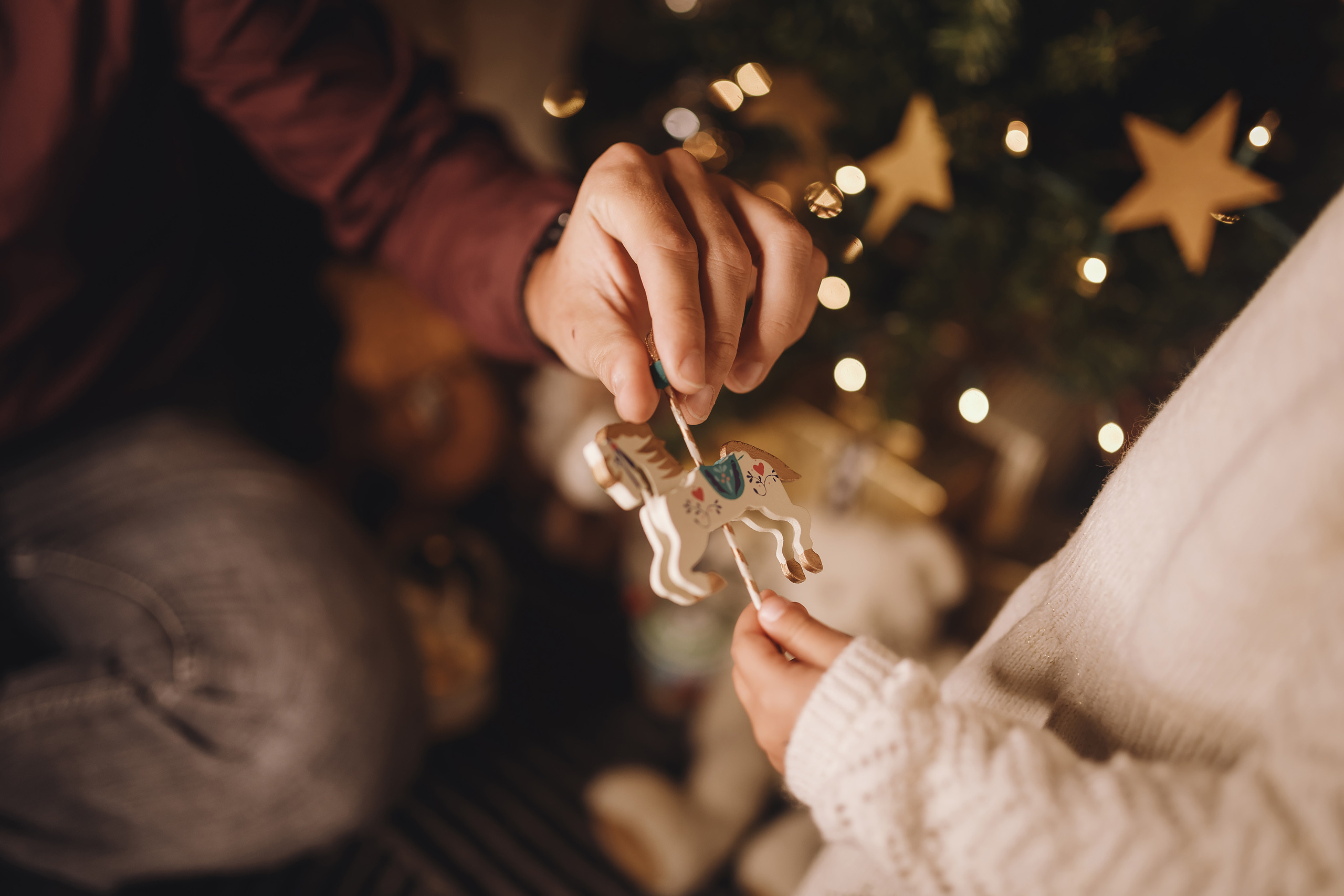 12092021 Christmas Photoshoot 11. Wedding family event photographer in Chicago Nick Yushevich