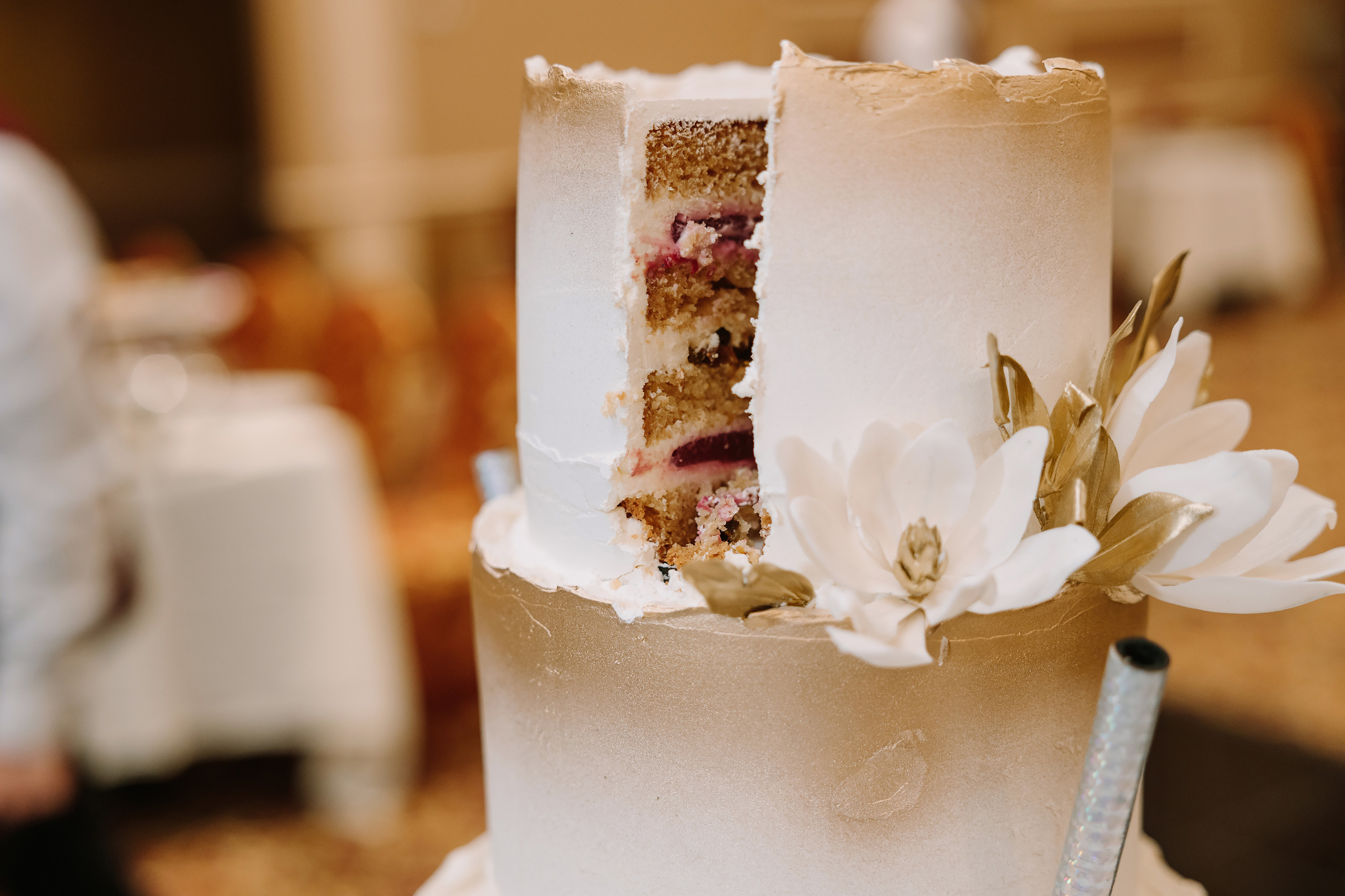 10.02.2021 Wedding. Wedding family event photographer in Chicago Nick Yushevich