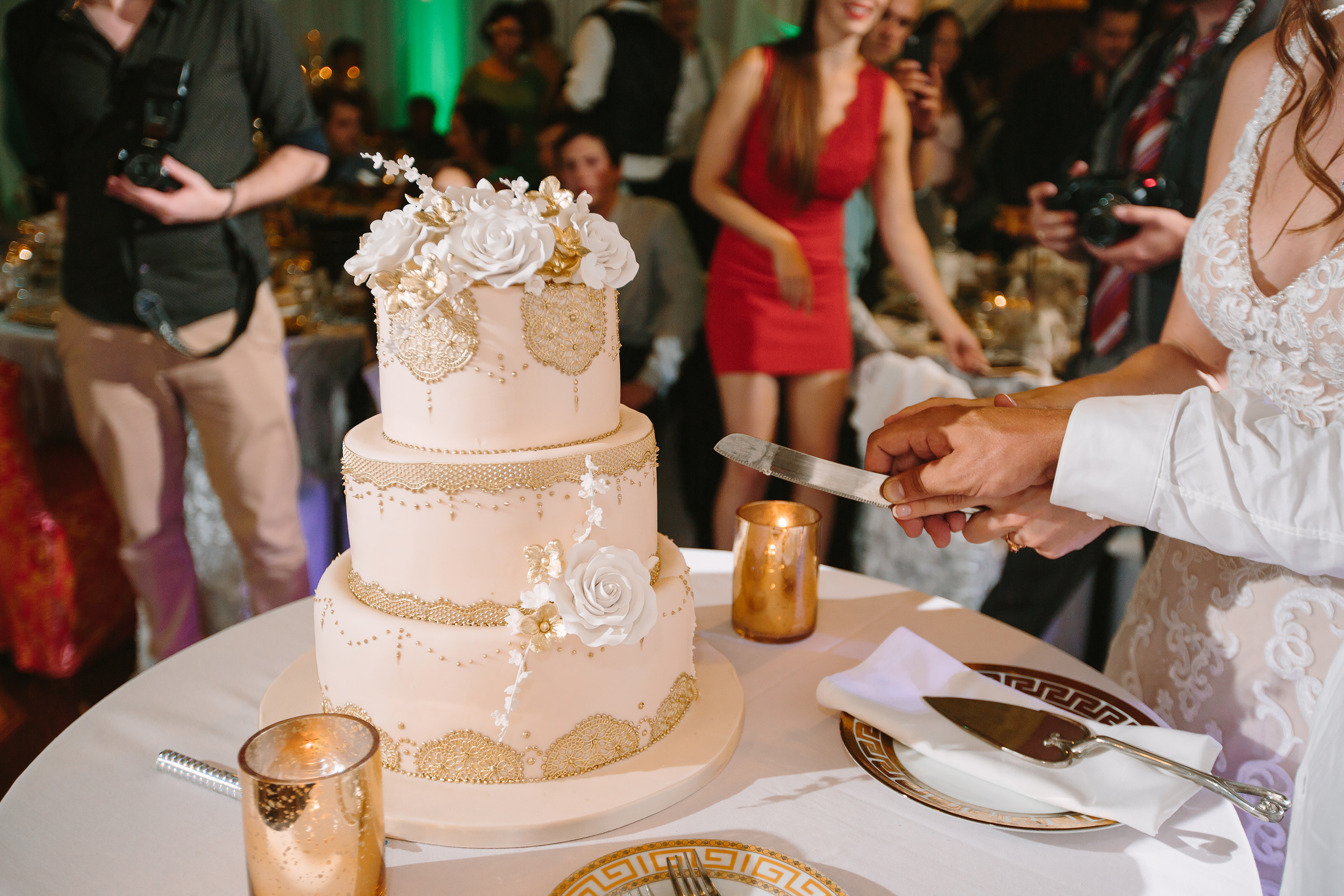 08.03.2019 Wedding. Wedding family event photographer in Chicago Nick Yushevich