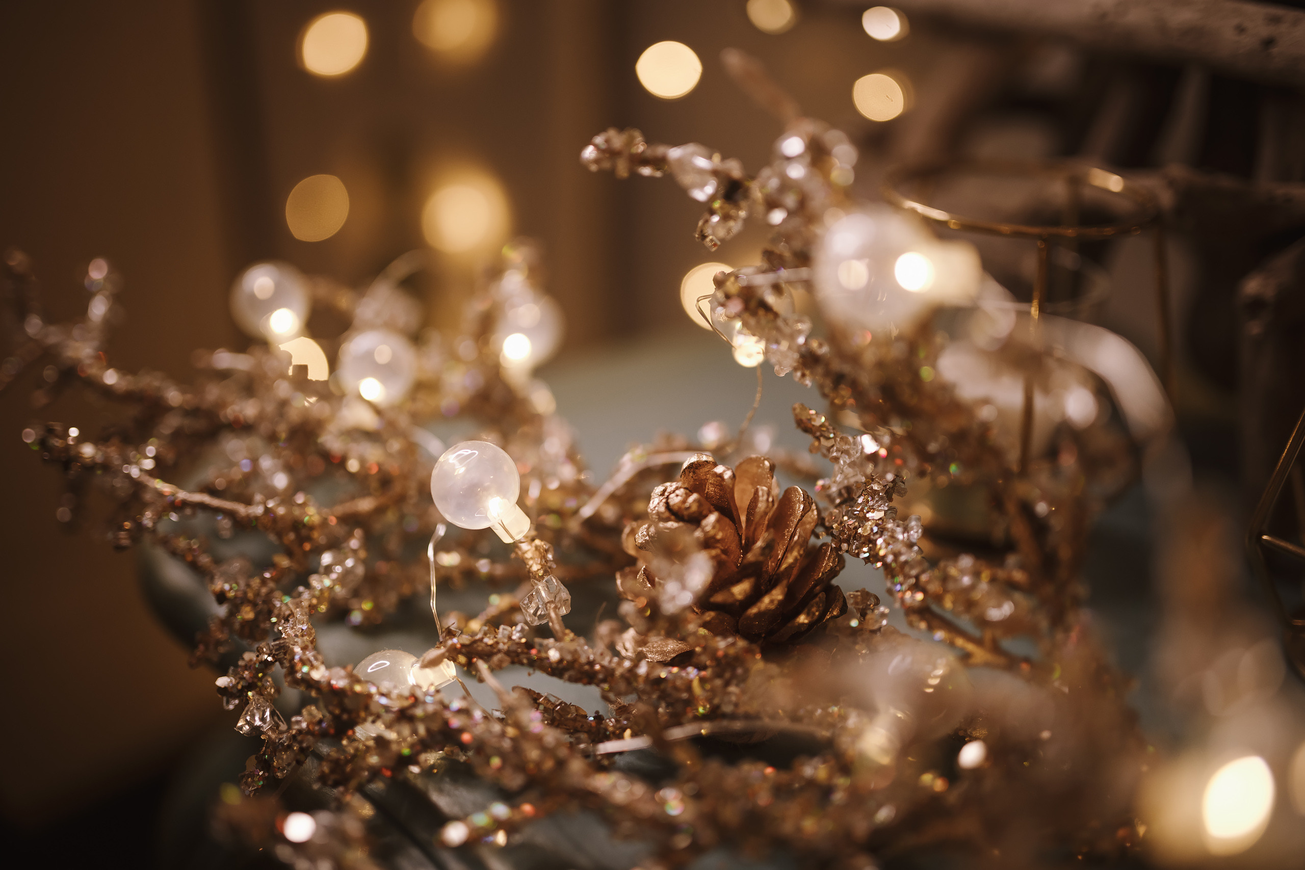 12042021 Christmas Photoshoot 9. Wedding family event photographer in Chicago Nick Yushevich