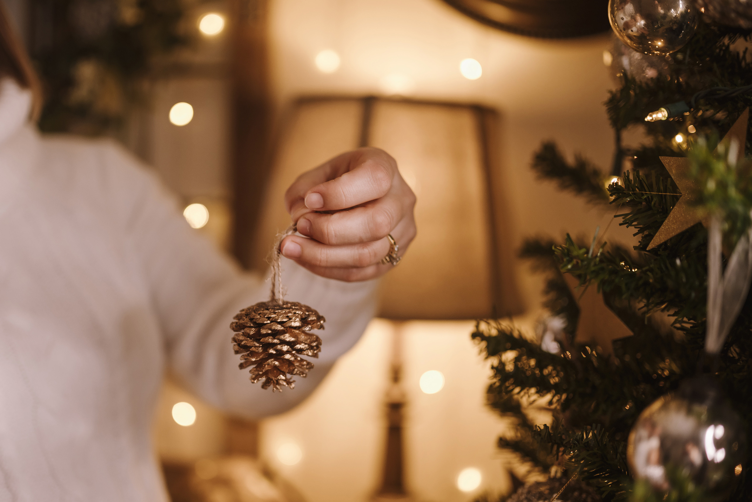 11292021 Christmas Photoshoot 7. Wedding family event photographer in Chicago Nick Yushevich