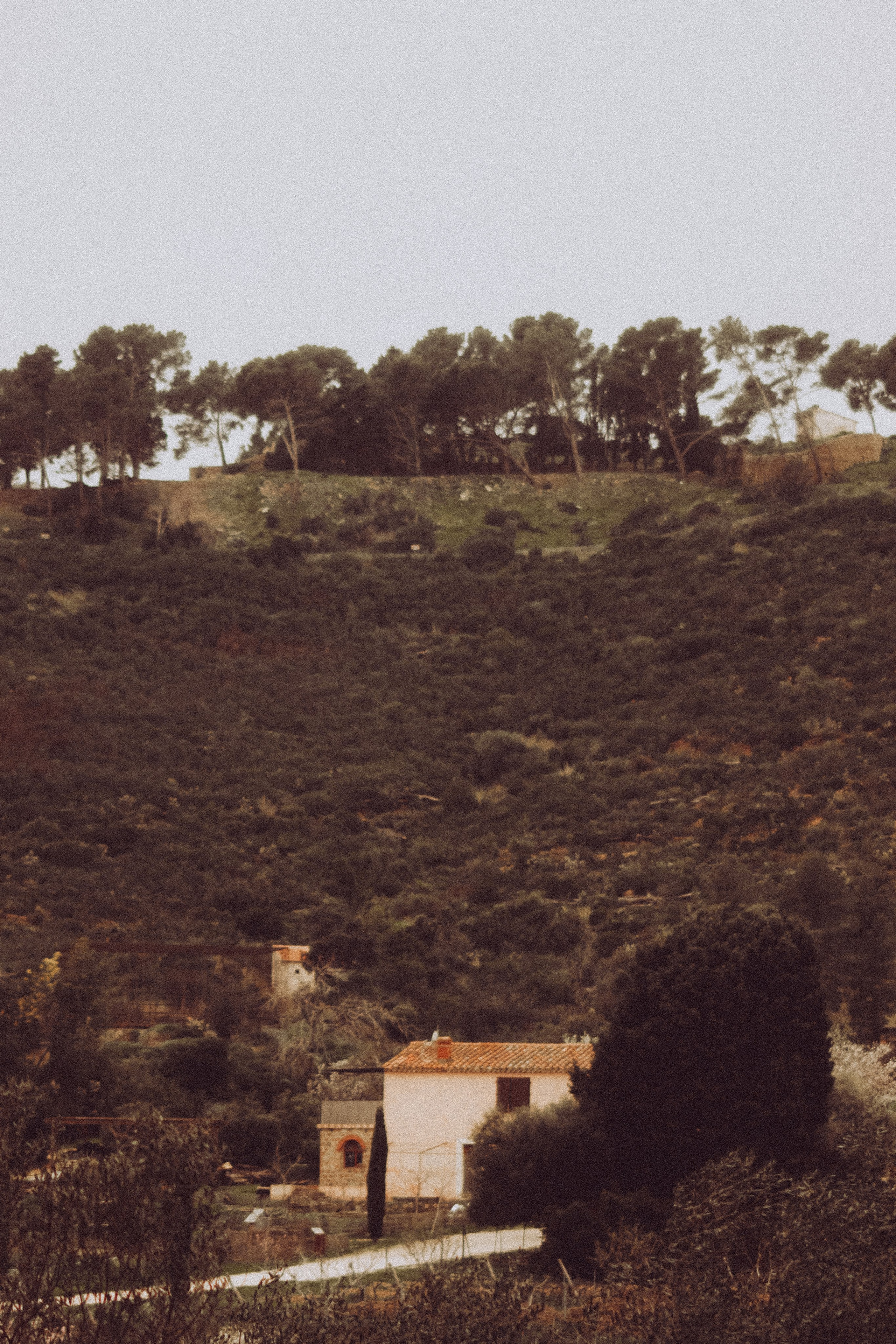 La Coudoulière, Saint Mandrier. Photographe à la Seyne sur Mer, Var