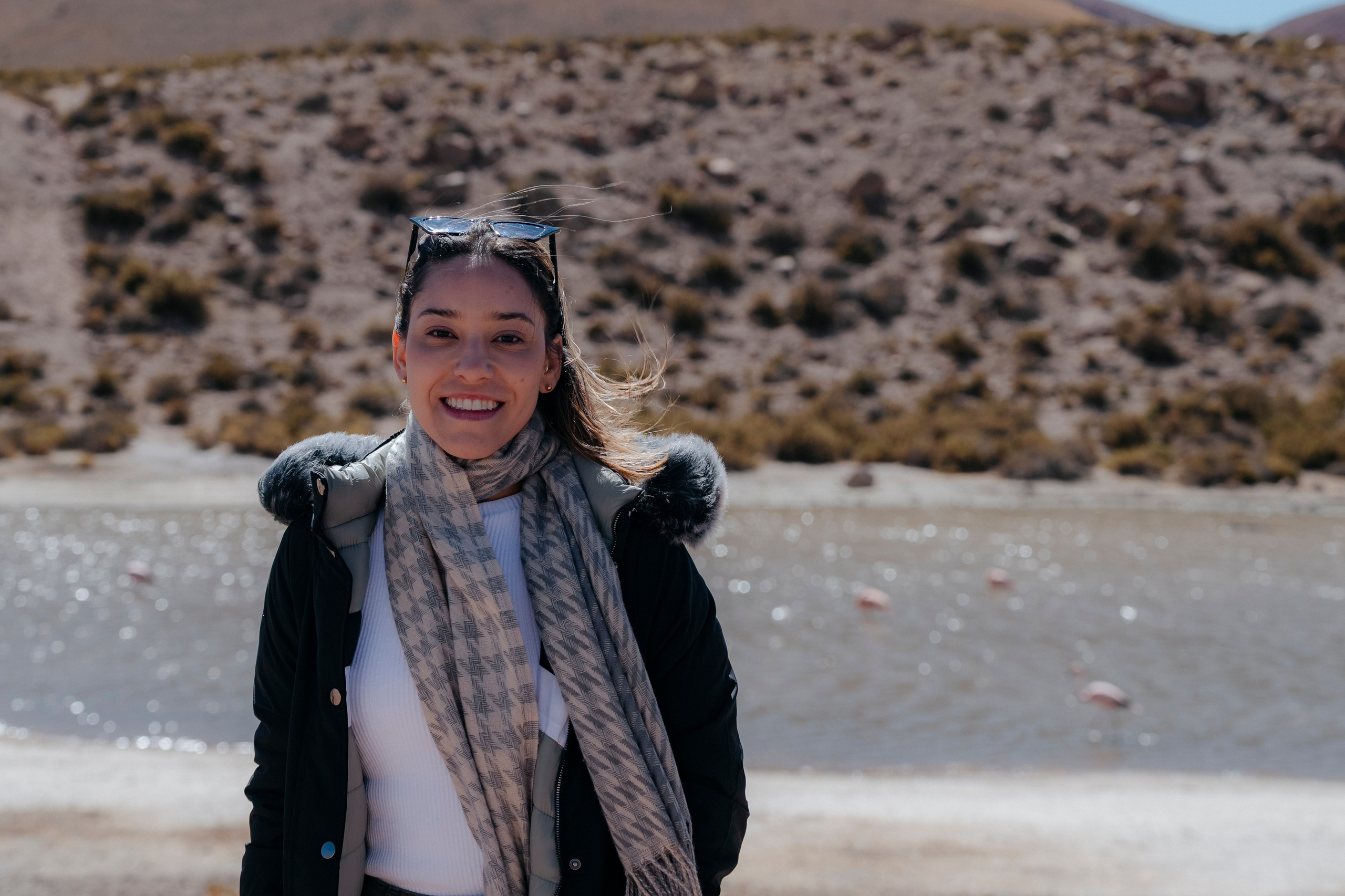 Geyser El Tatio (cobertura en tour privado). Principal