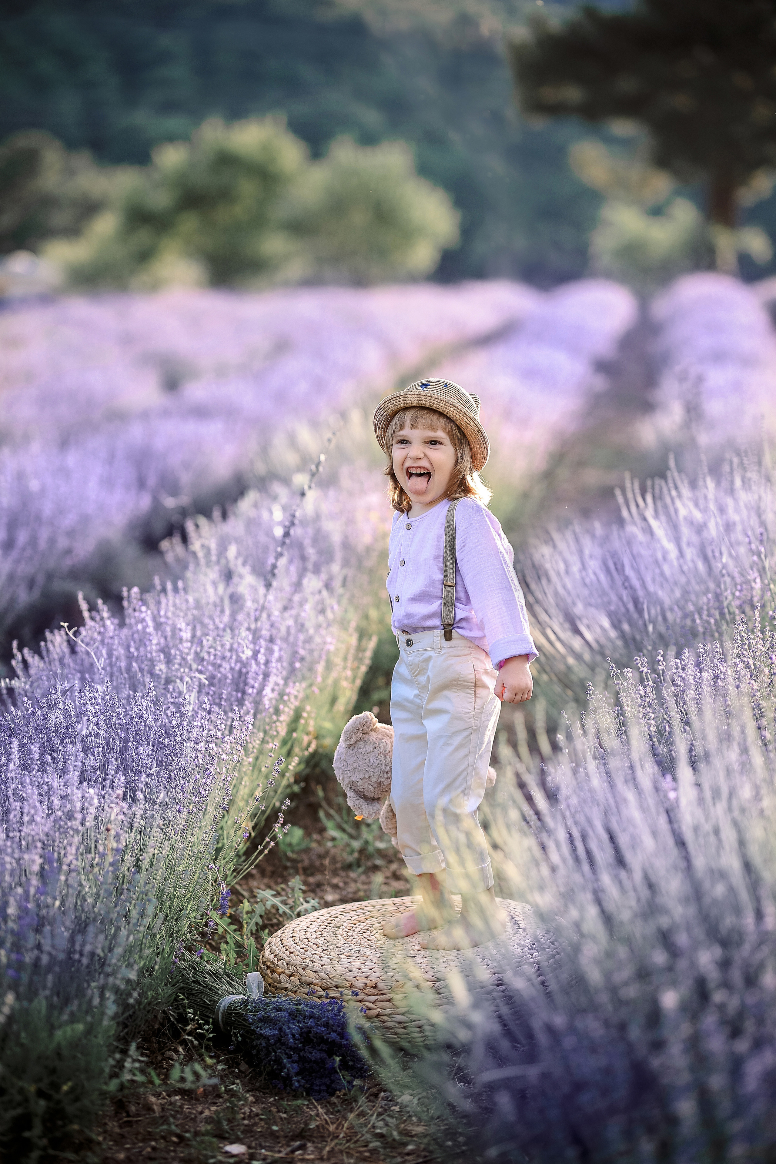 Lavender in Antalya. Photographer in Turkey, Antalya, Kemer, Belek, Side, Kas, Fethiye