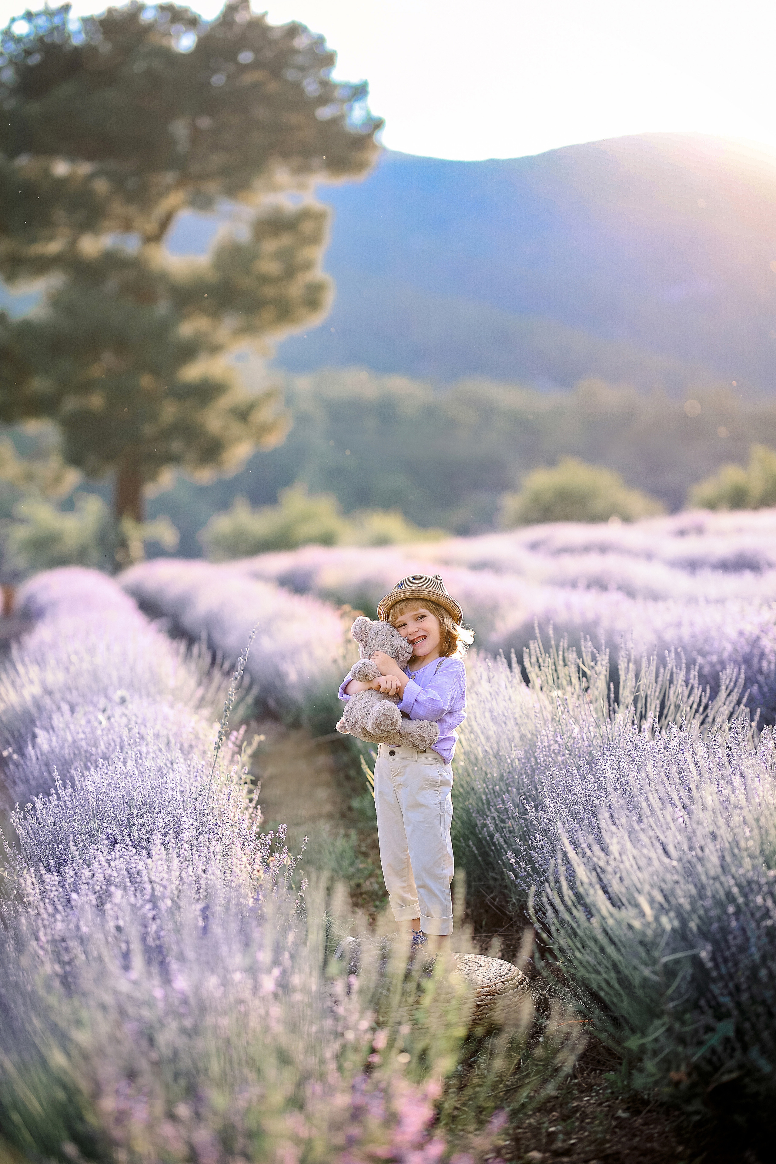 Lavender in Antalya. Photographer in Turkey, Antalya, Kemer, Belek, Side, Kas, Fethiye